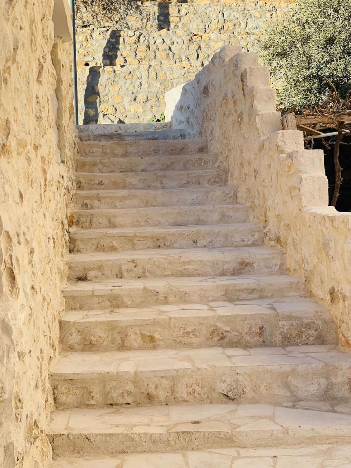 Photo 24