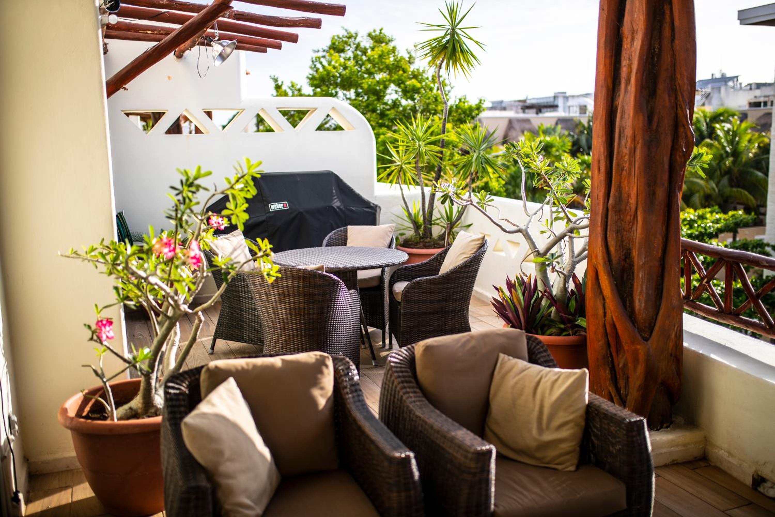 balance & terrace