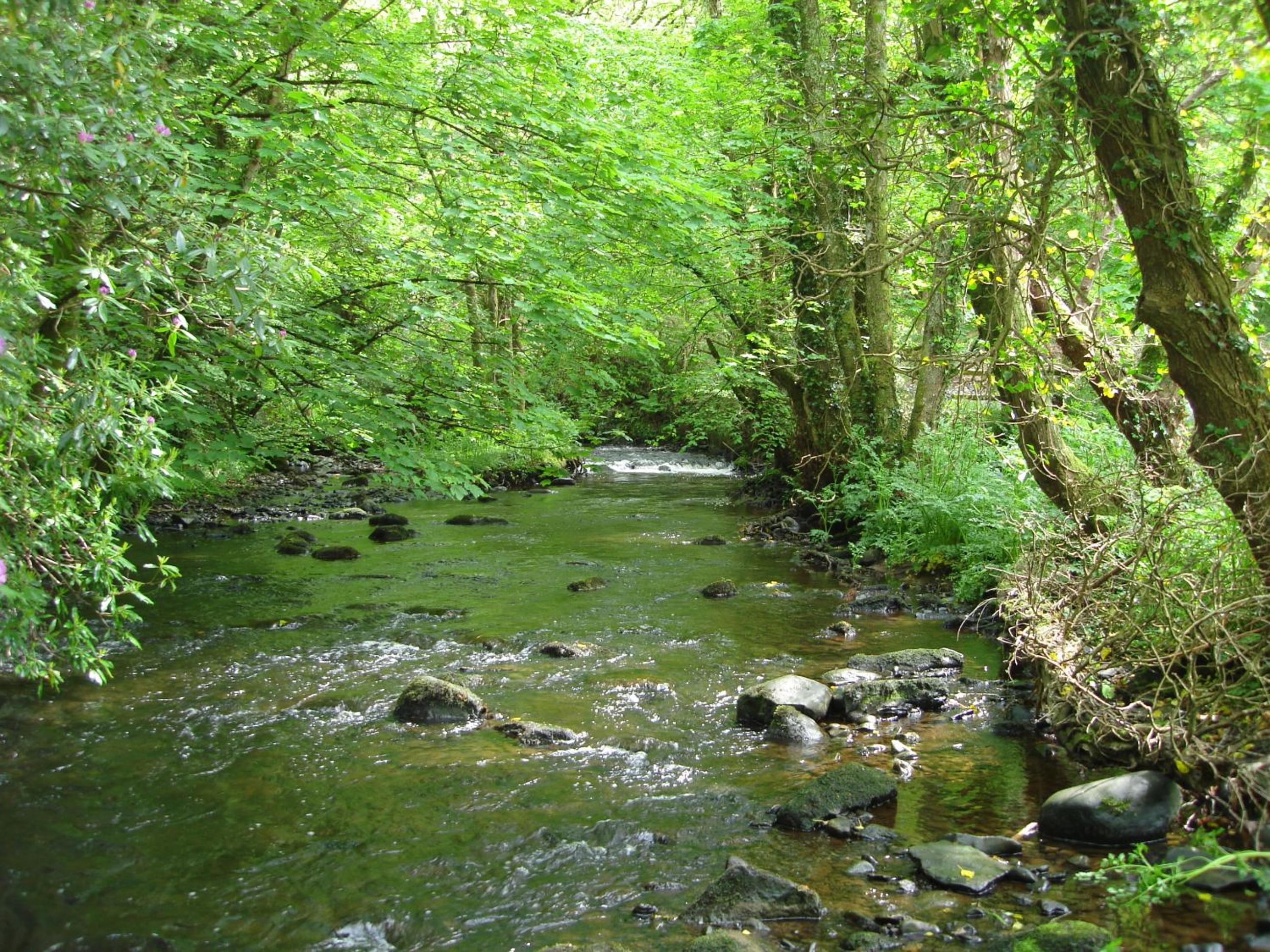Photo 41