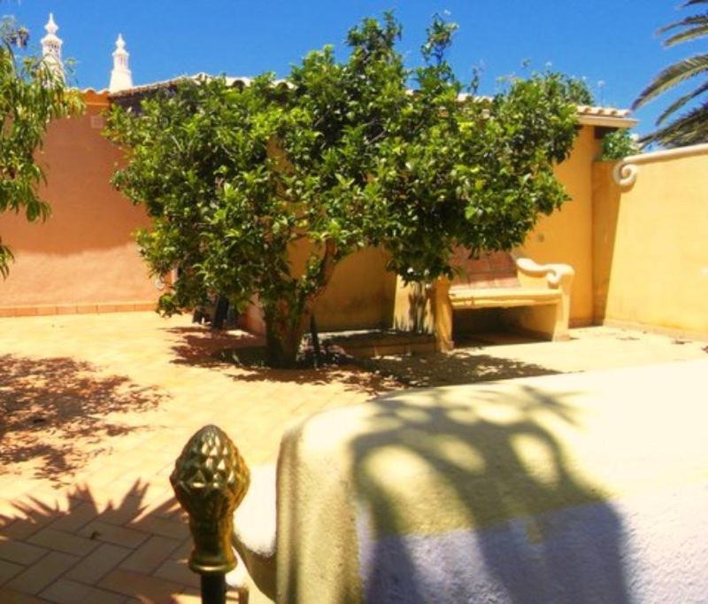 Nature Beach Resort Quinta Al-Gharb, photo 3