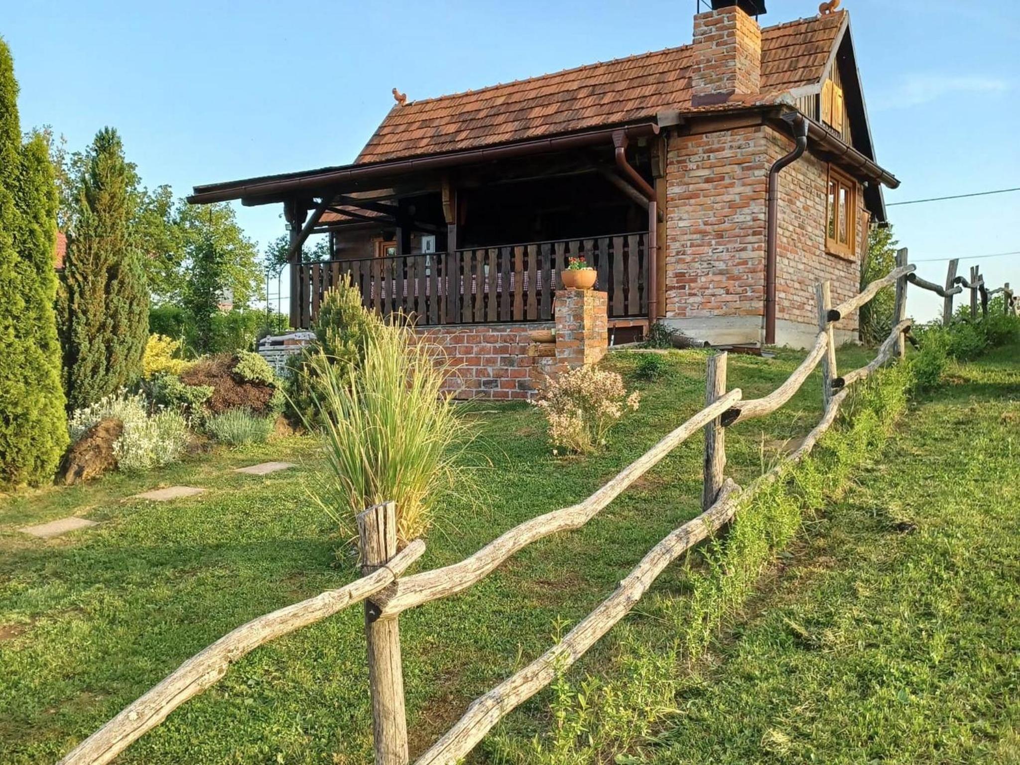 Photo 19