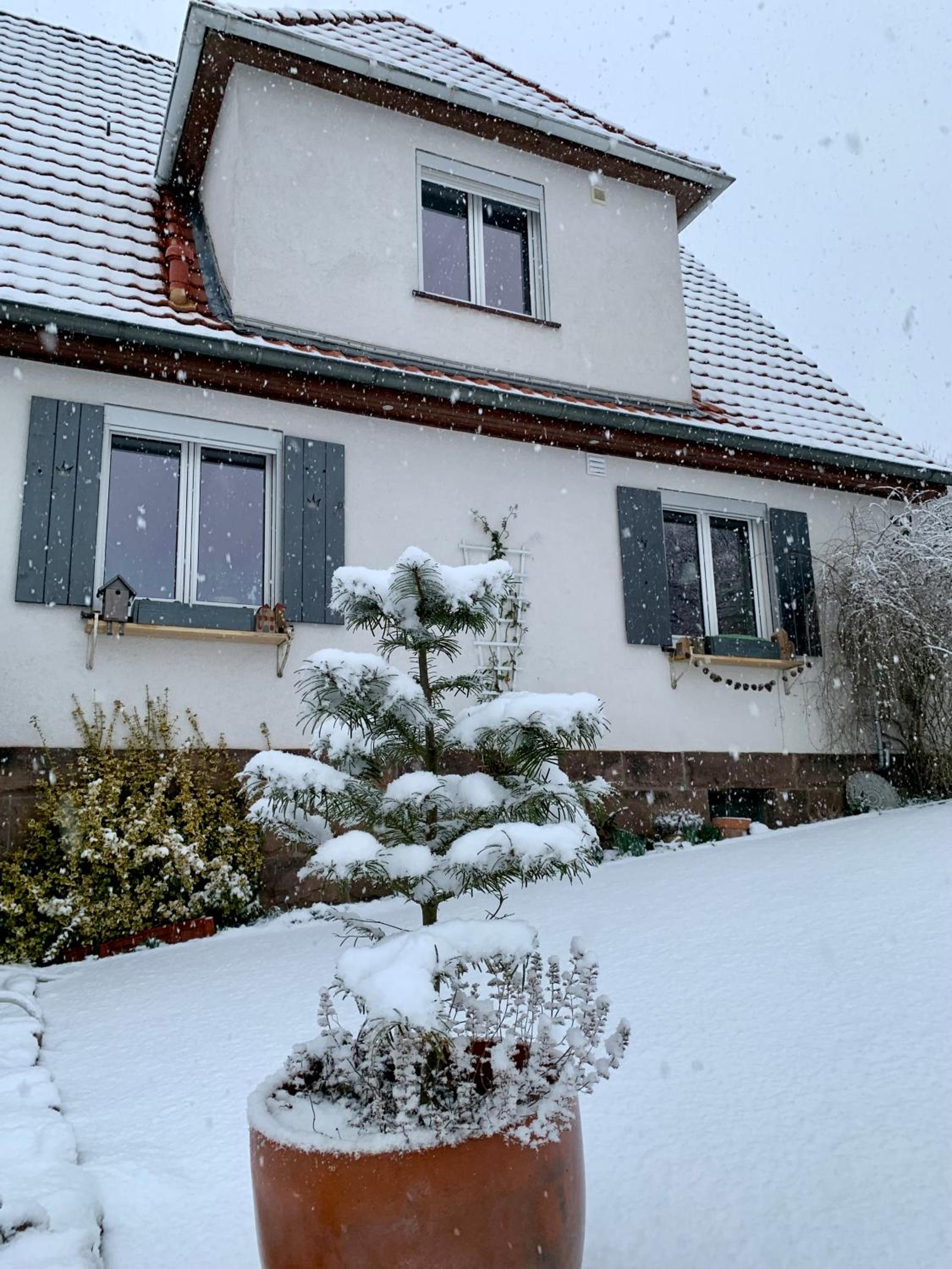 Märchenherberge 7 Zwerge