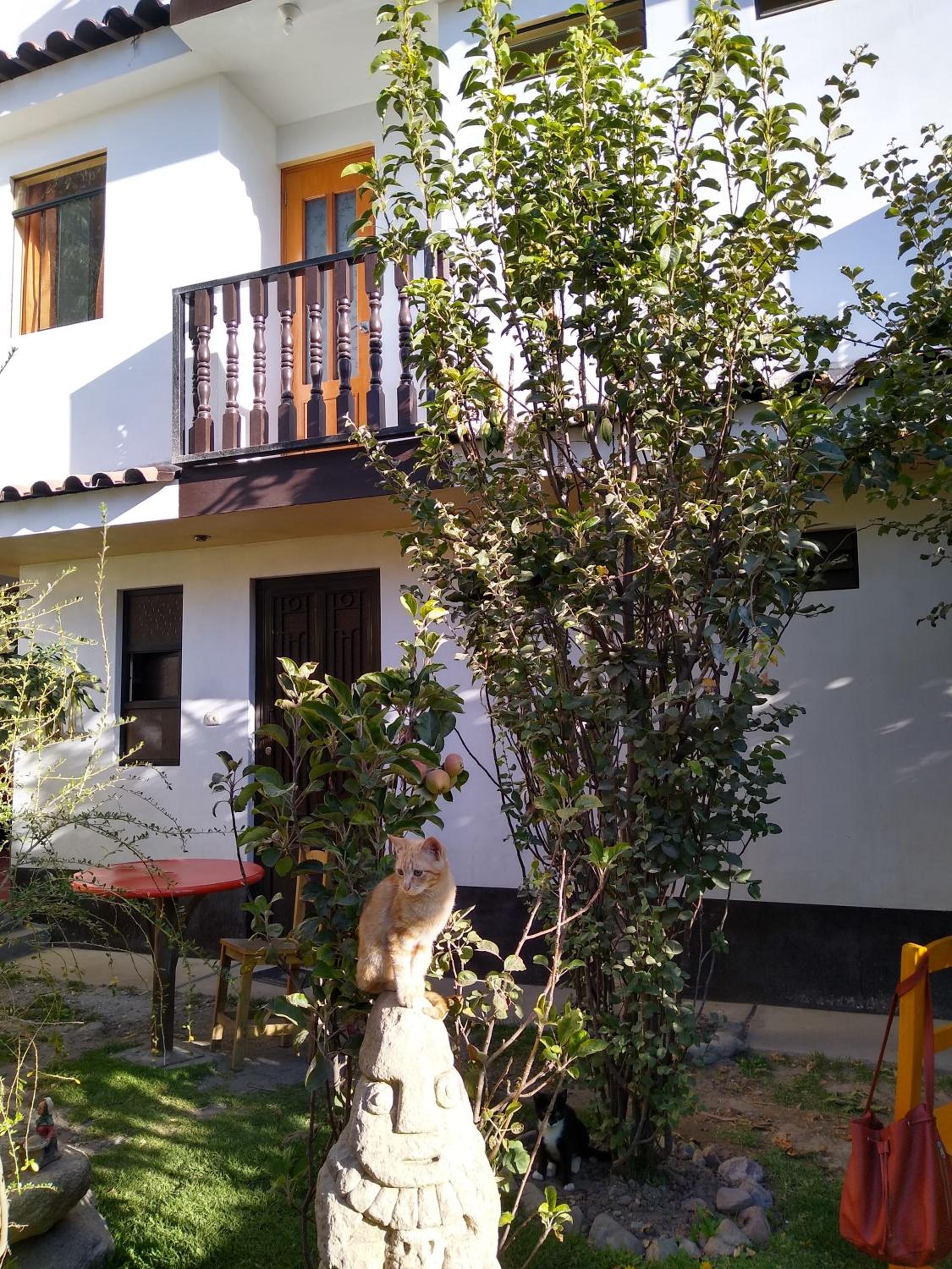 Hostal Casa del Montañista