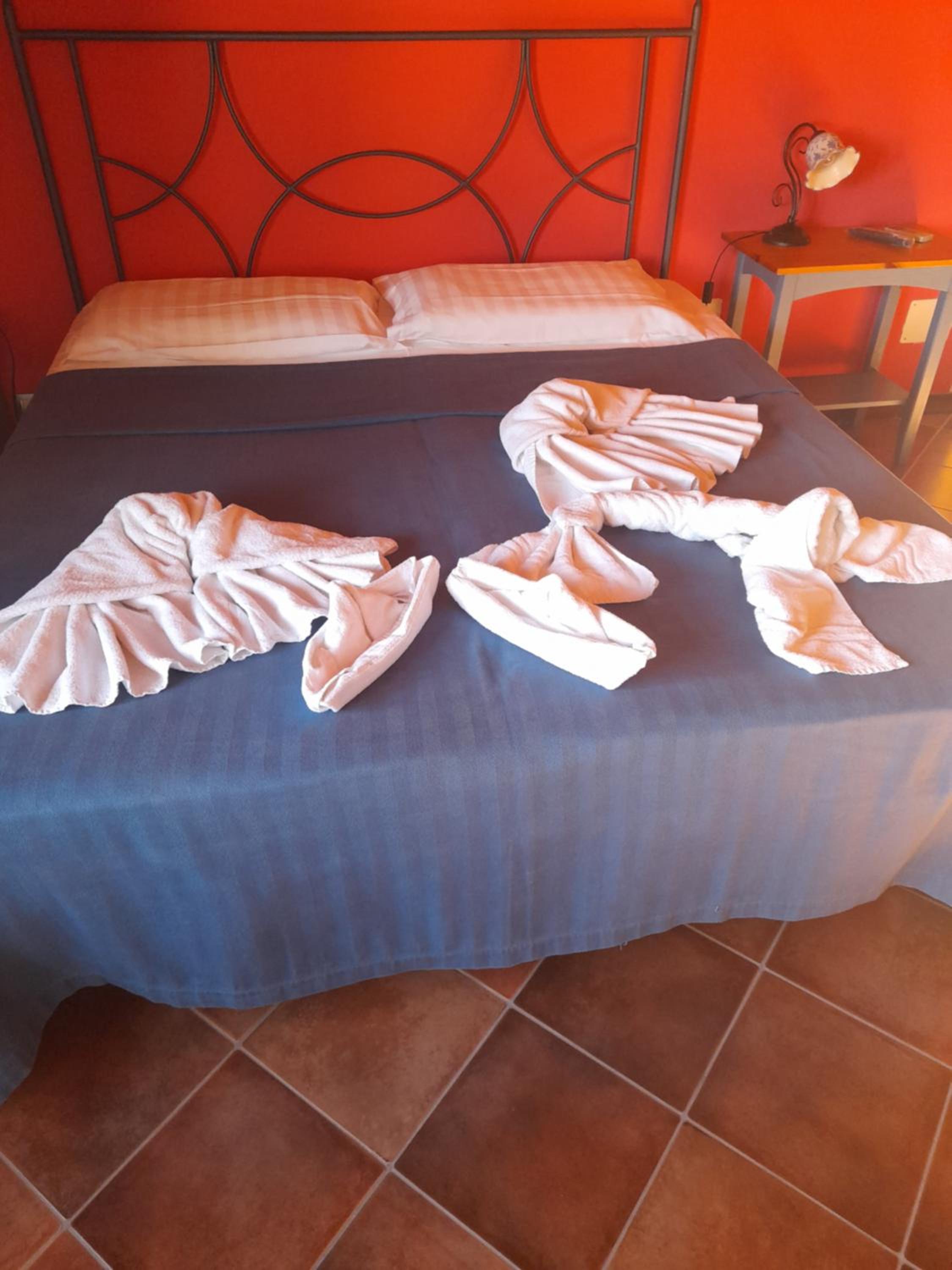 Photo 26