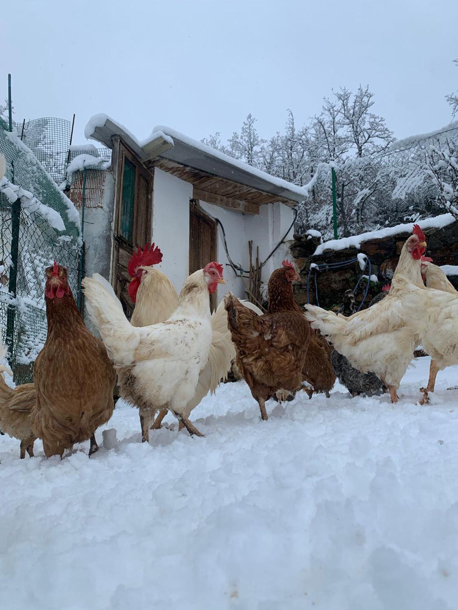 Hotel Rural El Sestil