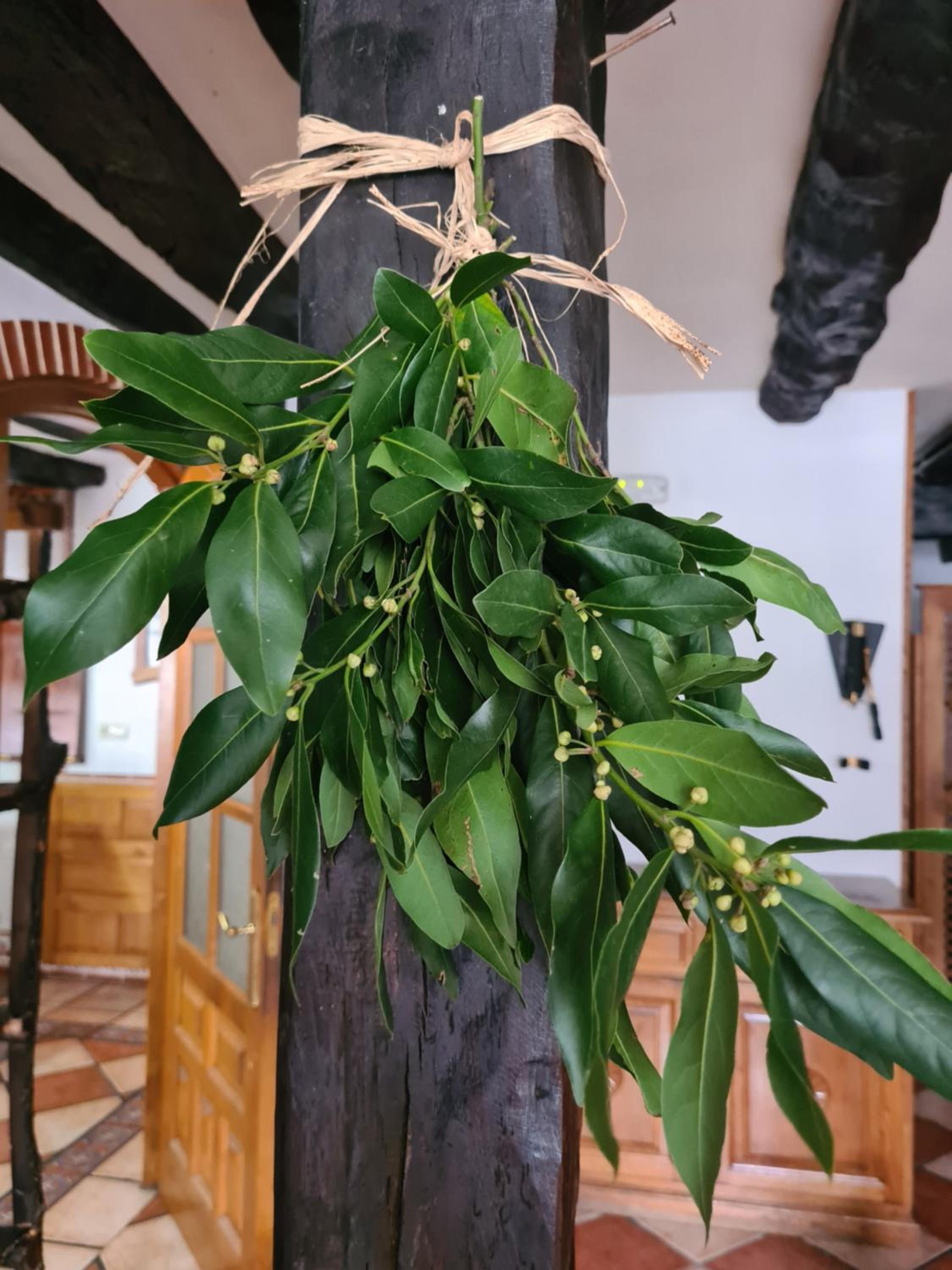 Hotel Rural El Sestil