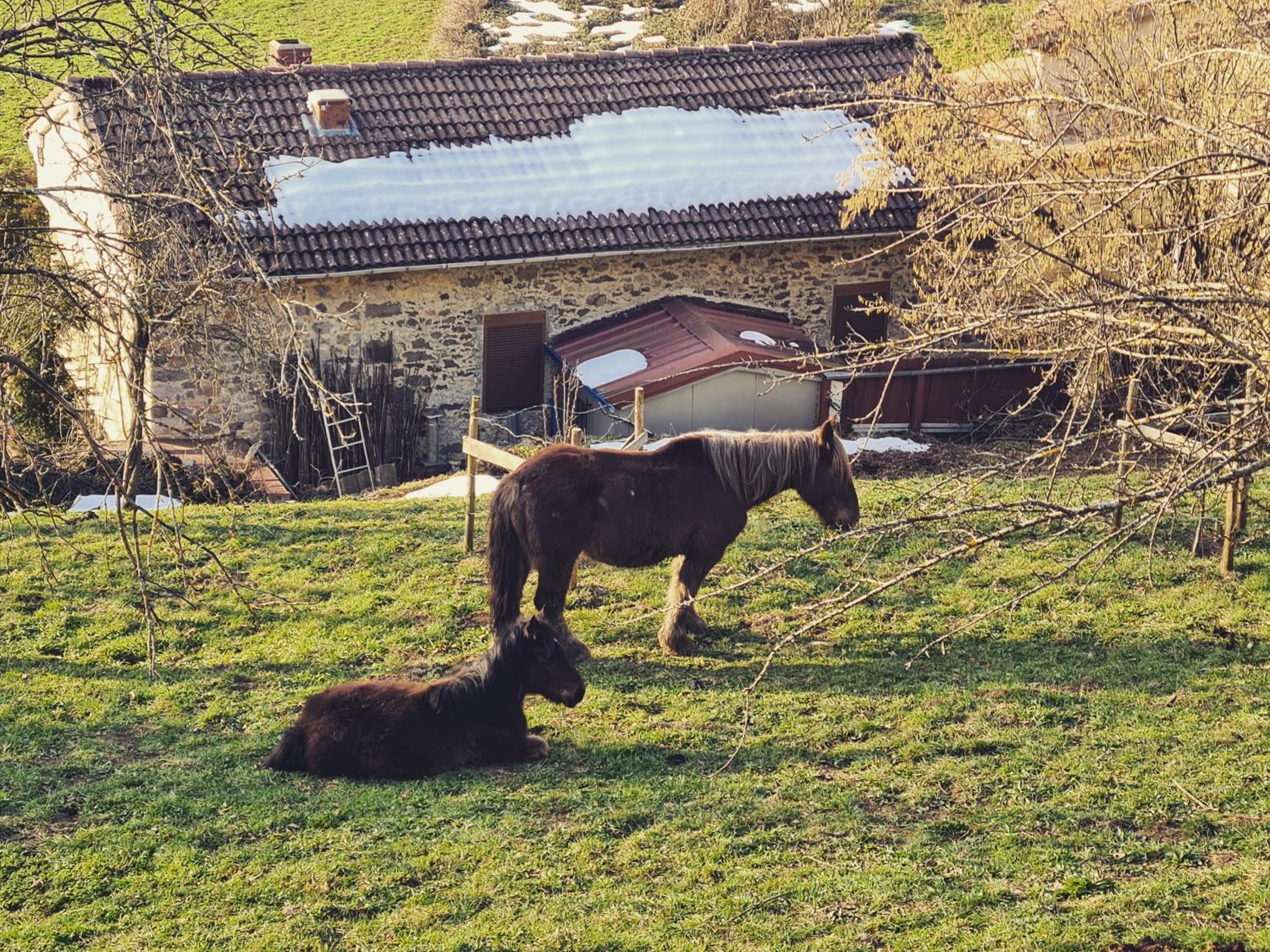 Hotel Rural El Sestil