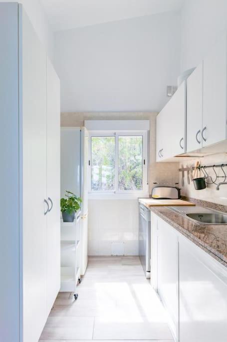 Coastal Vista: retreat in nature
