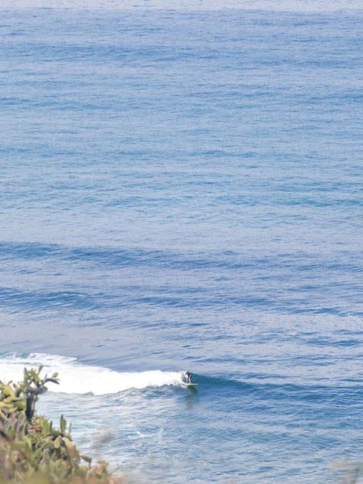 Coastal Vista: retreat in nature