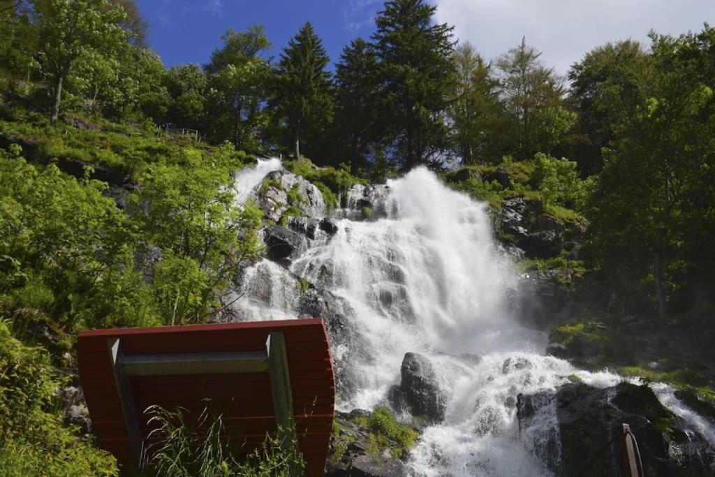 Sieben Tannen Titisee + Hochschwarzwald Card