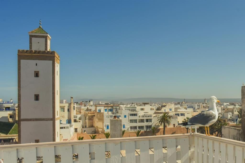Nid de médina Studio terrasse vue océan- Essaouira view 5