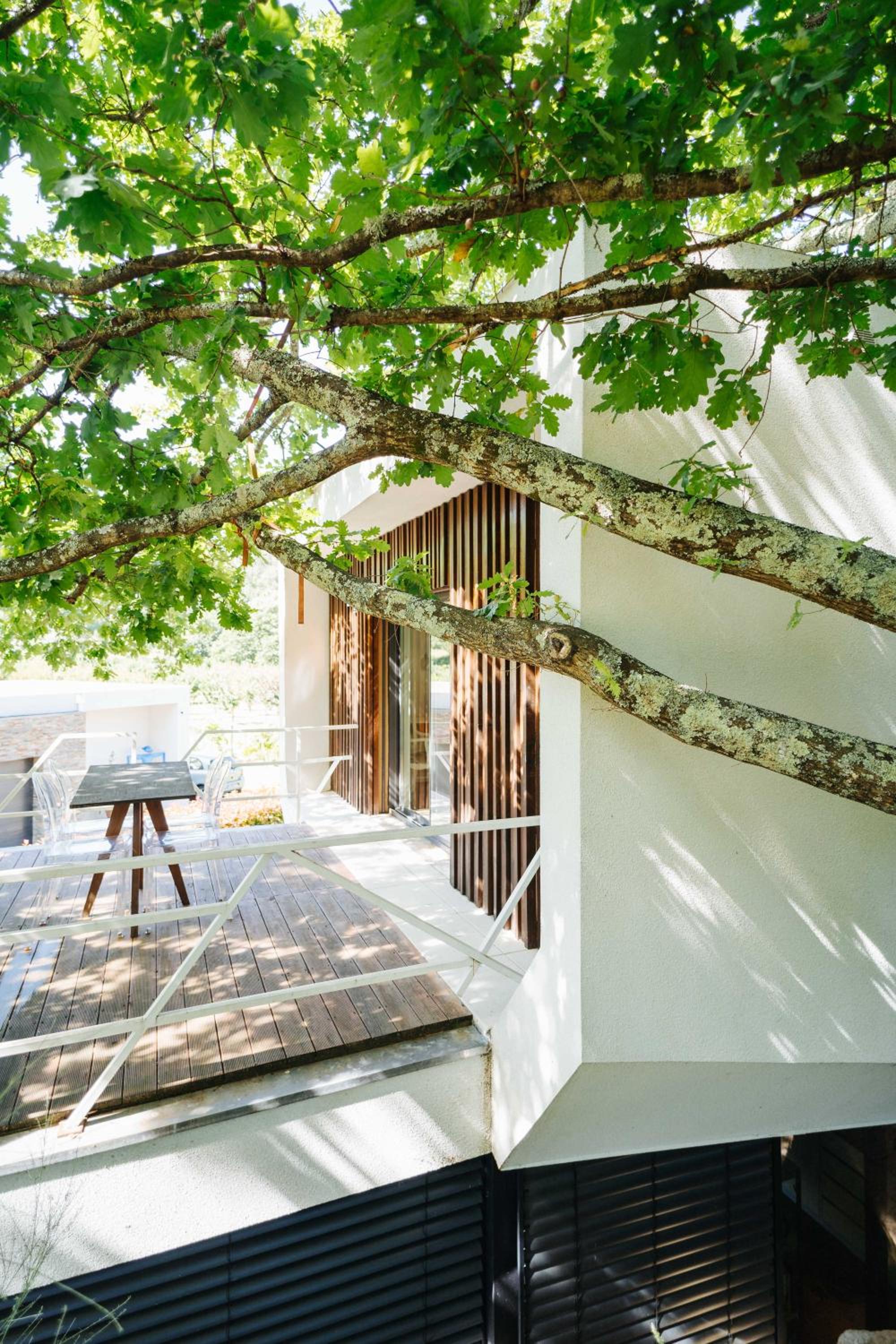 Quinta do Pomar Maior, photo 49