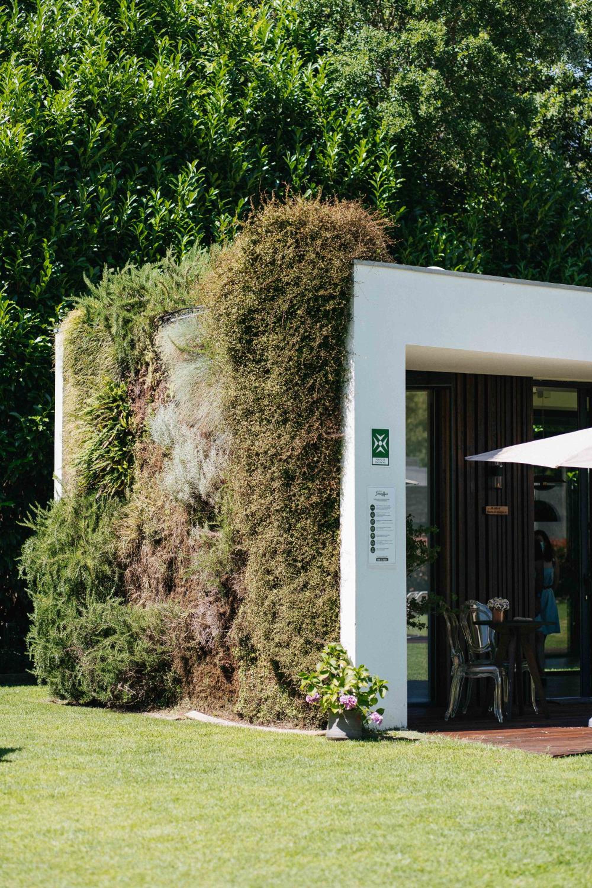 Quinta do Pomar Maior, photo 68