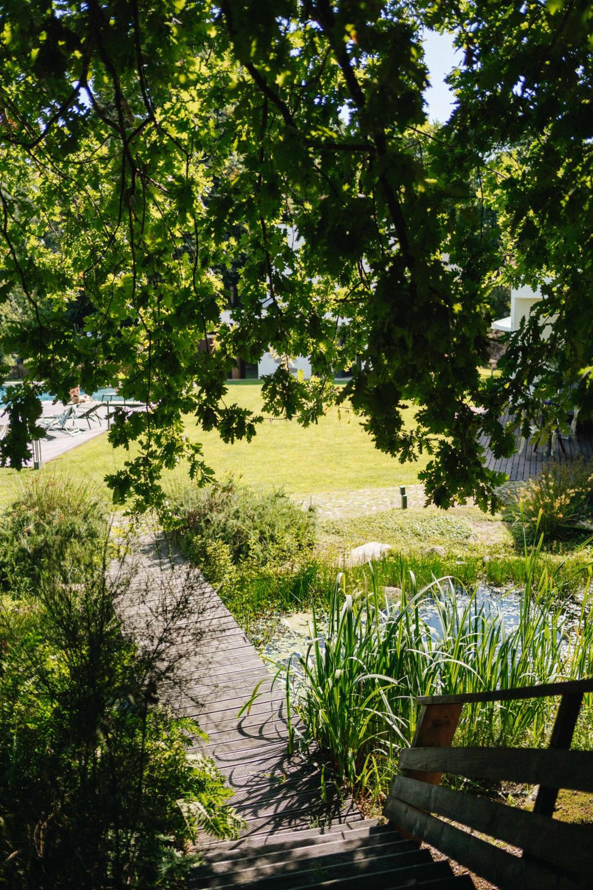 Quinta do Pomar Maior, photo 19