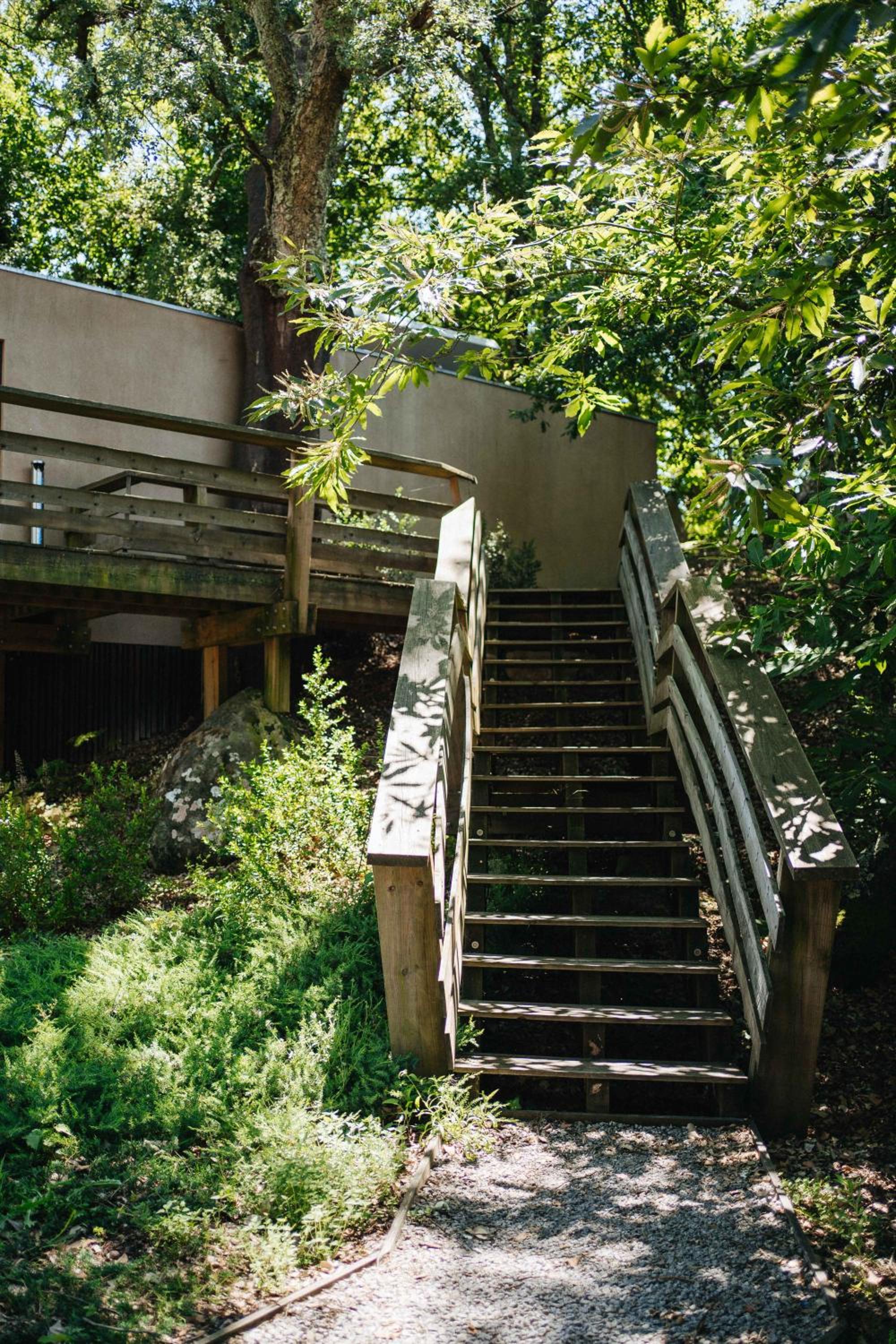Quinta do Pomar Maior, photo 50