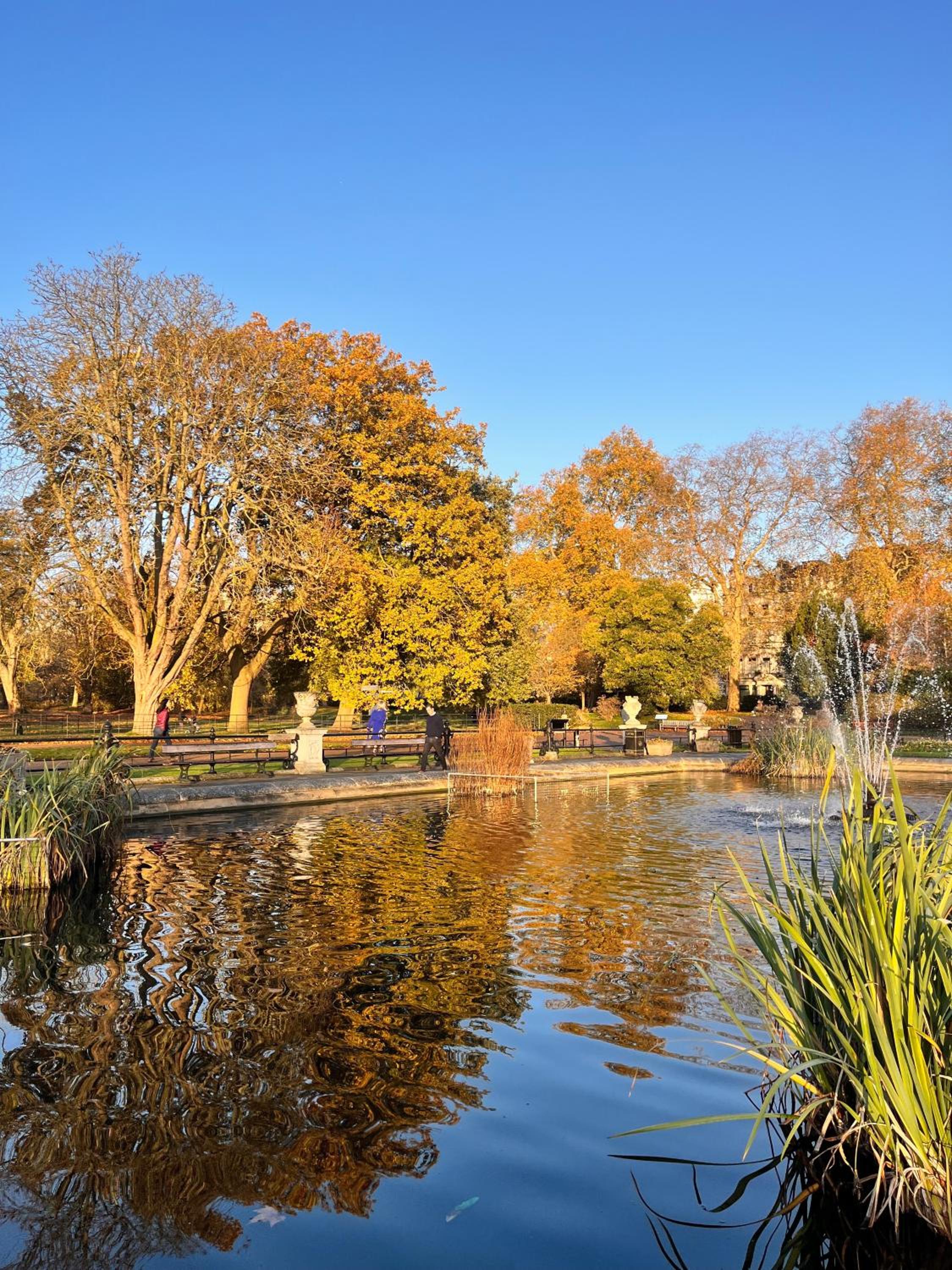 Hyde Park,3 min walk,Family home! 2 Bedrooms & 2 Bathrooms Apartment! Fantastic Location