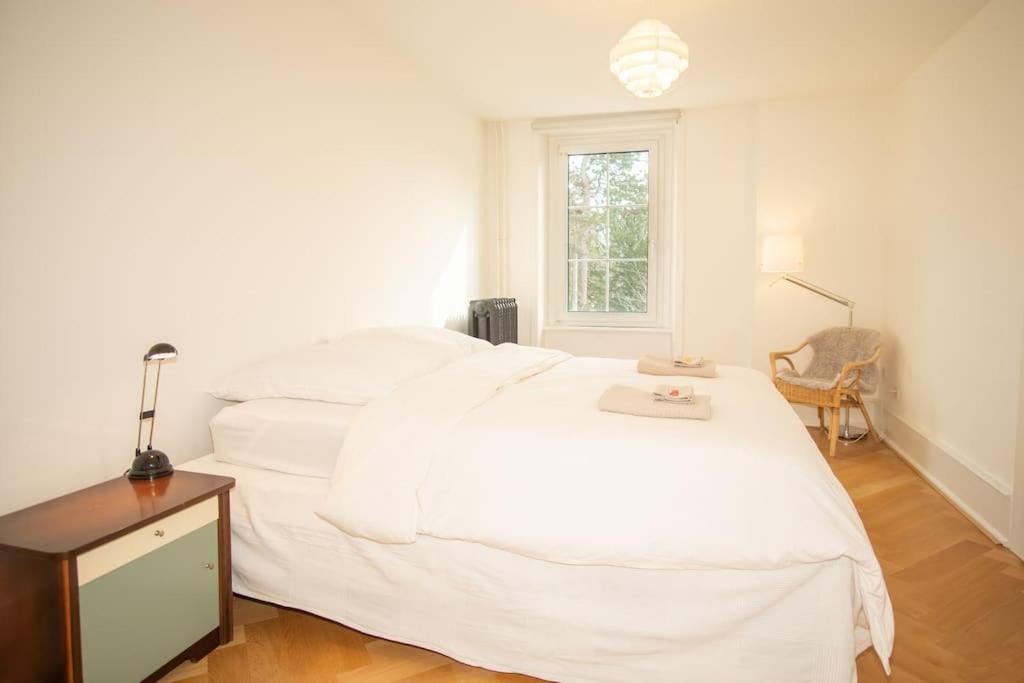 Spacious apartment next to park with free BaselCard