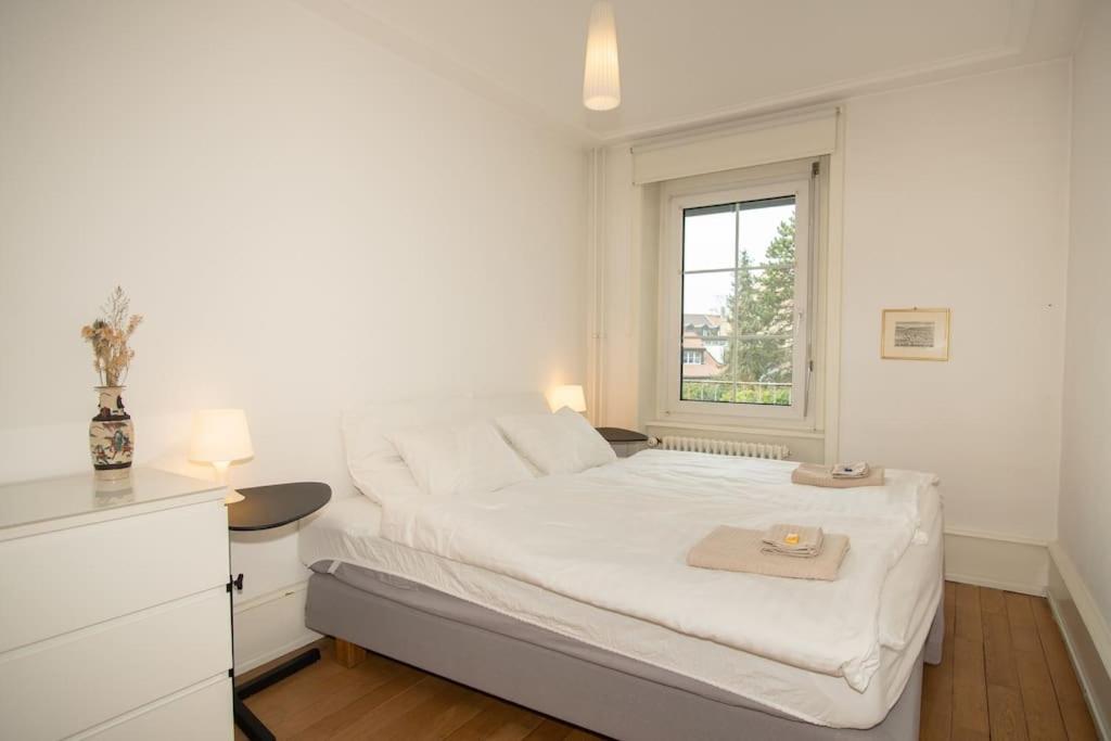 Spacious apartment next to park with free BaselCard