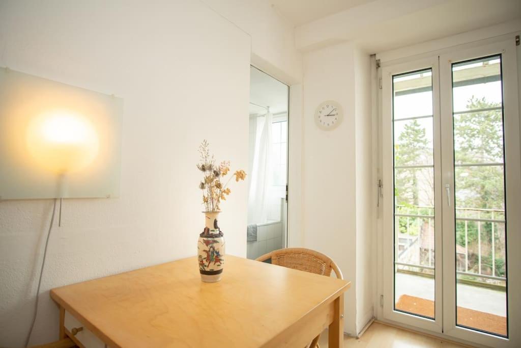 Spacious apartment next to park with free BaselCard