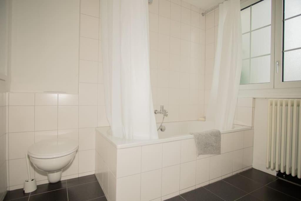 Spacious apartment next to park with free BaselCard