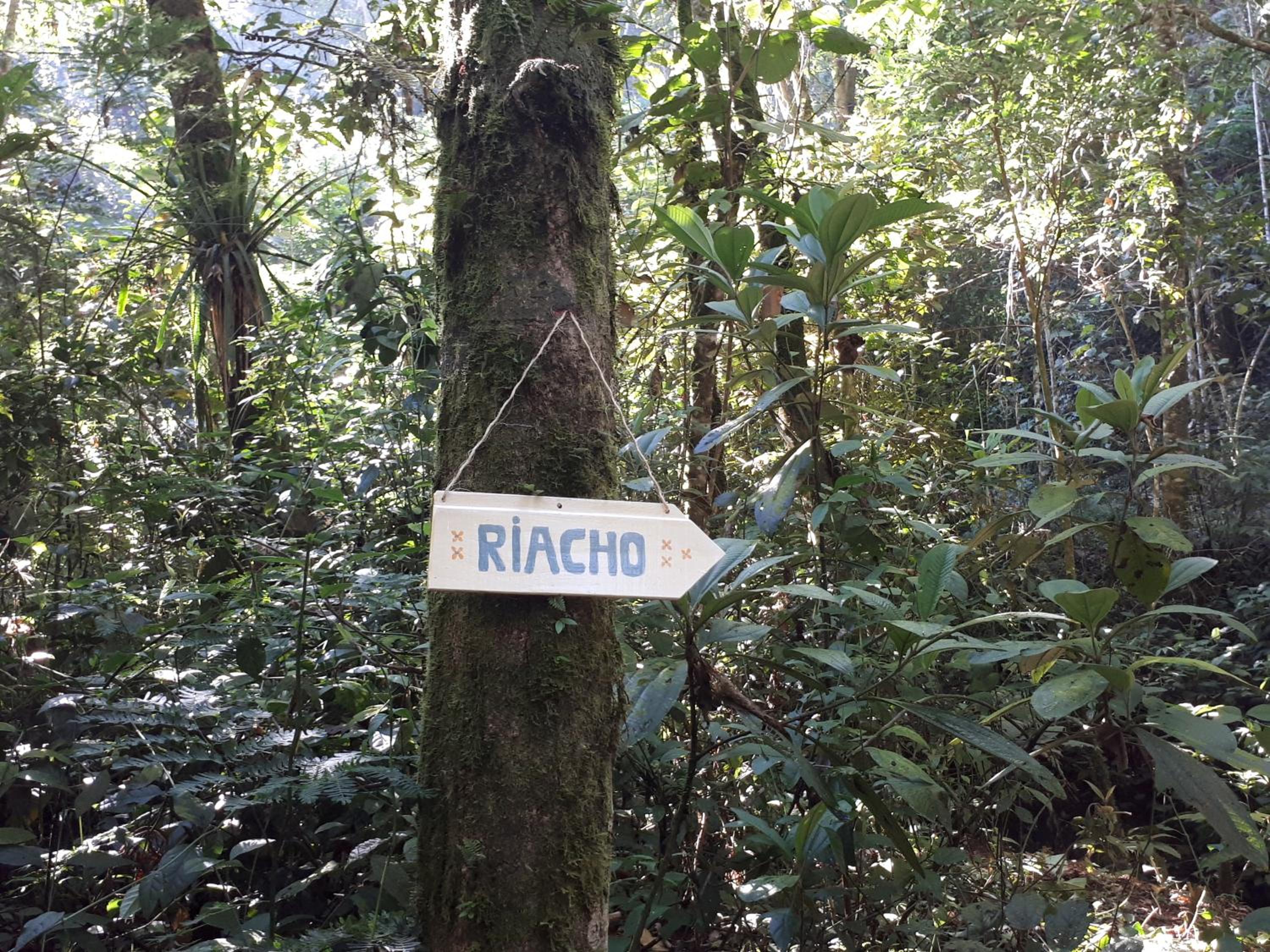 Tao da Serra - cabana em meio à natureza!