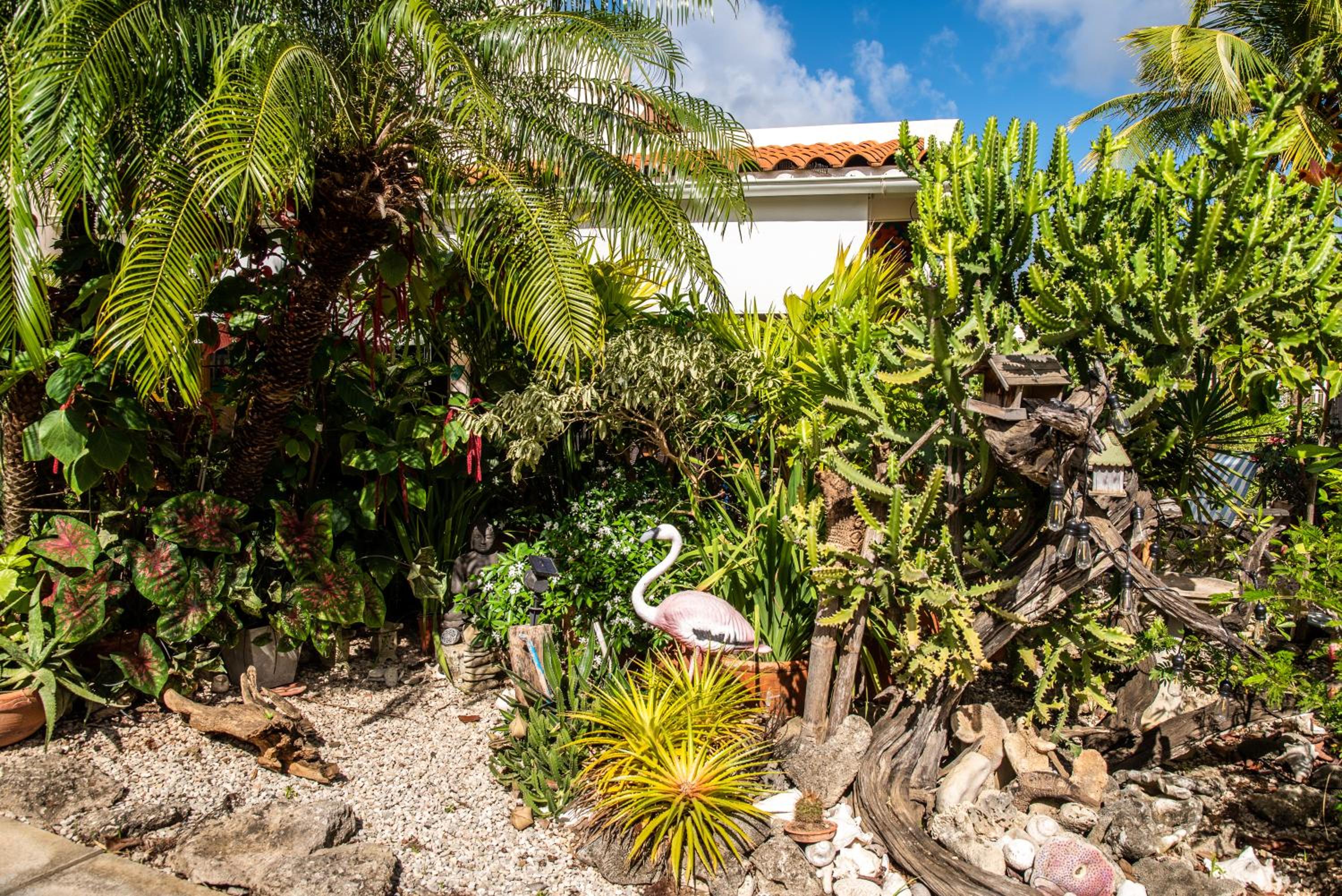 Hamlet Oasis Resort