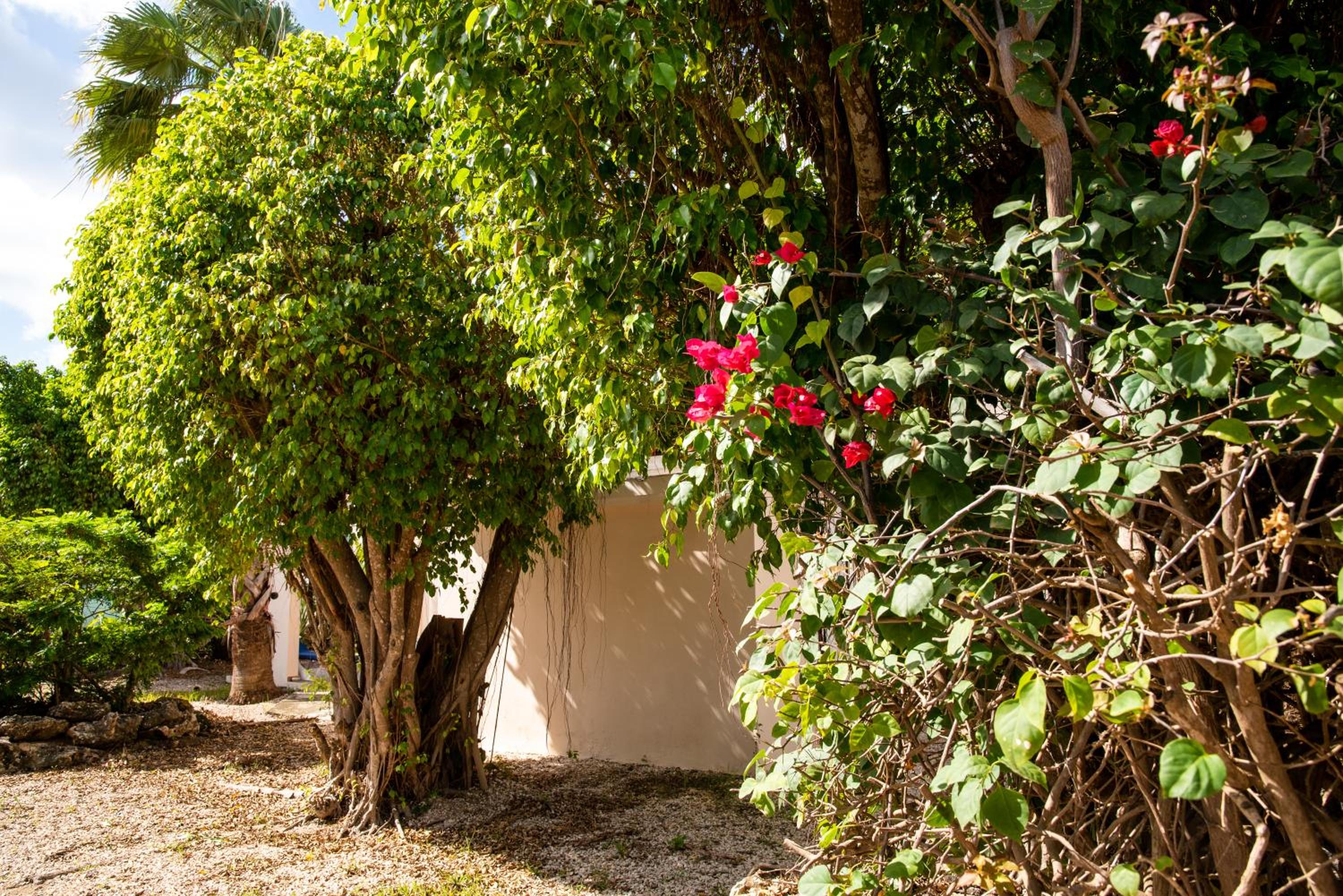 Hamlet Oasis Resort