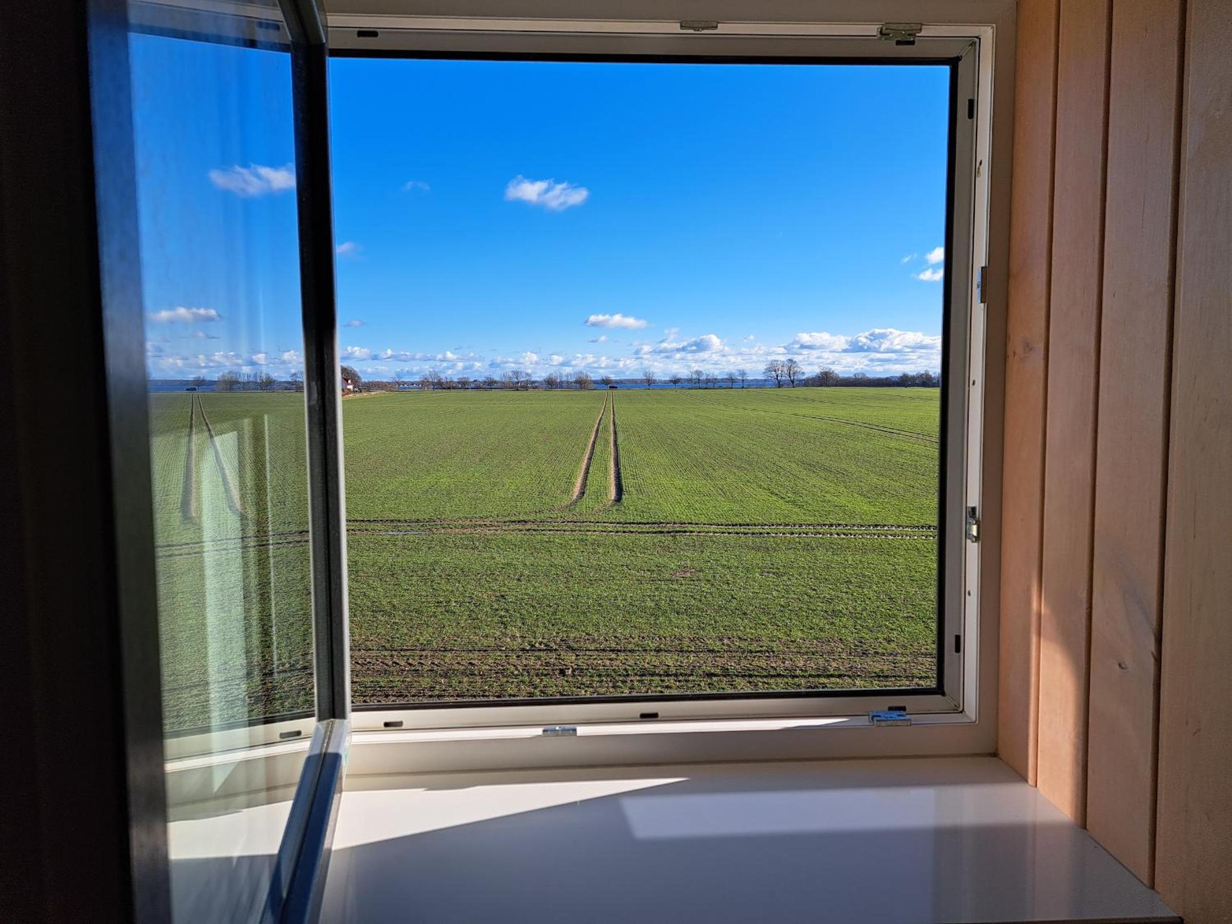 Ferienhaus Distelfink mit Sauna und Kamin