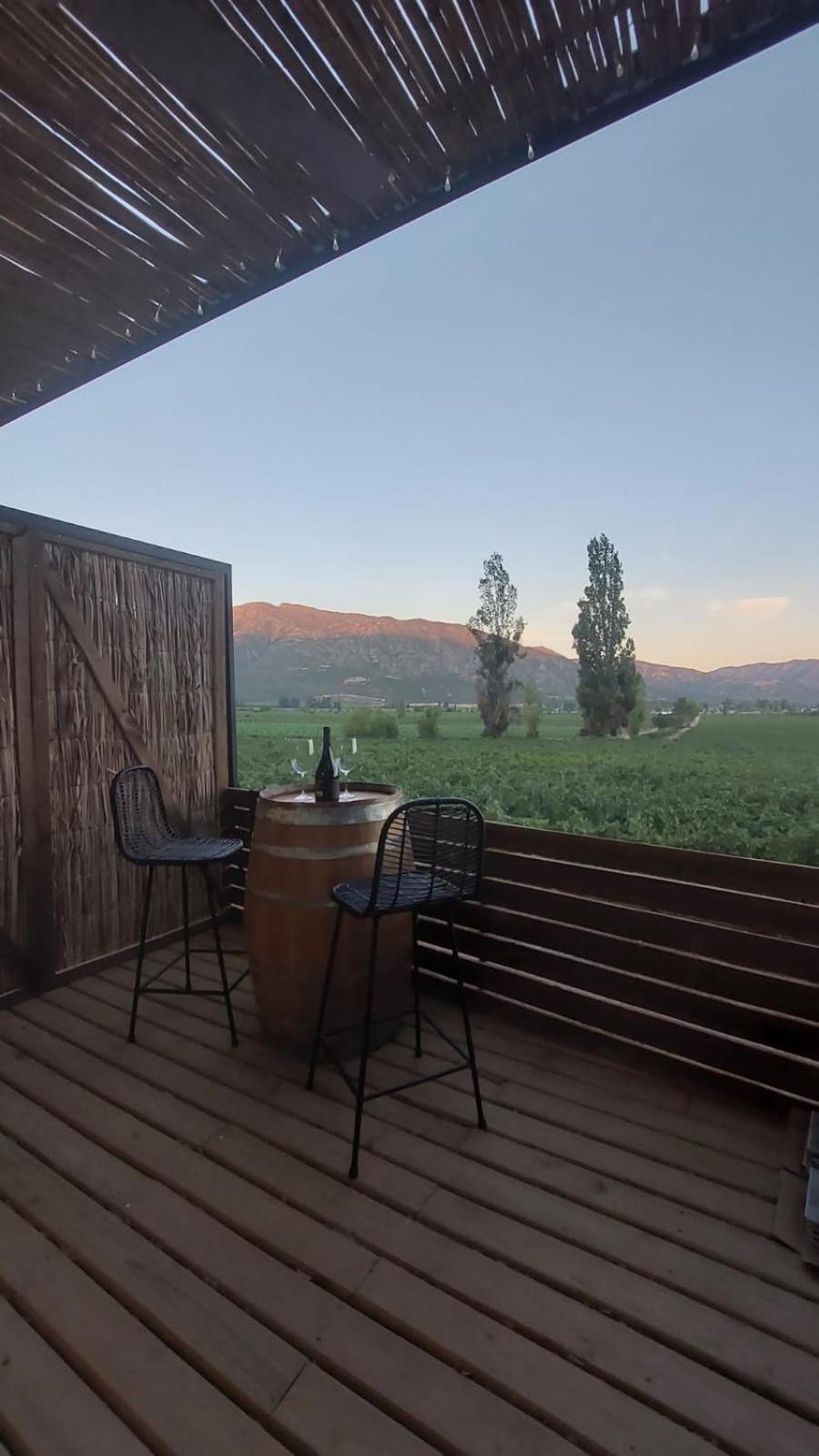 Apalta Lofts, disfruta frente a viñedos