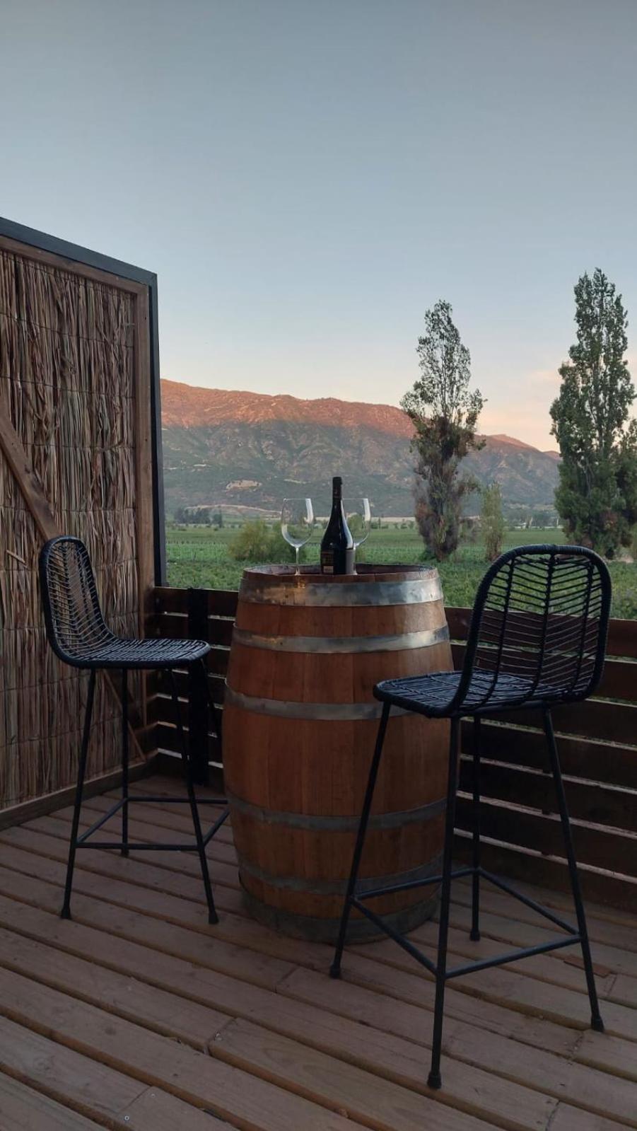 Apalta Lofts, disfruta frente a viñedos