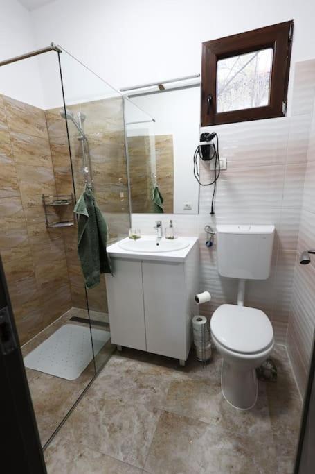 Vila Relax Valiug Crivaia