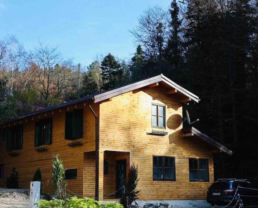 Vila Relax Valiug Crivaia