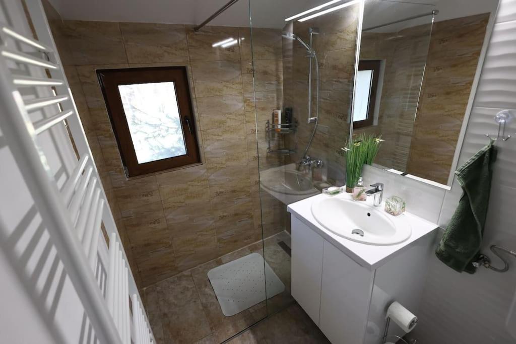 Vila Relax Valiug Crivaia