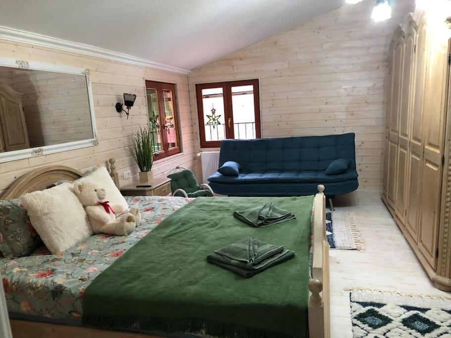 Vila Relax Valiug Crivaia