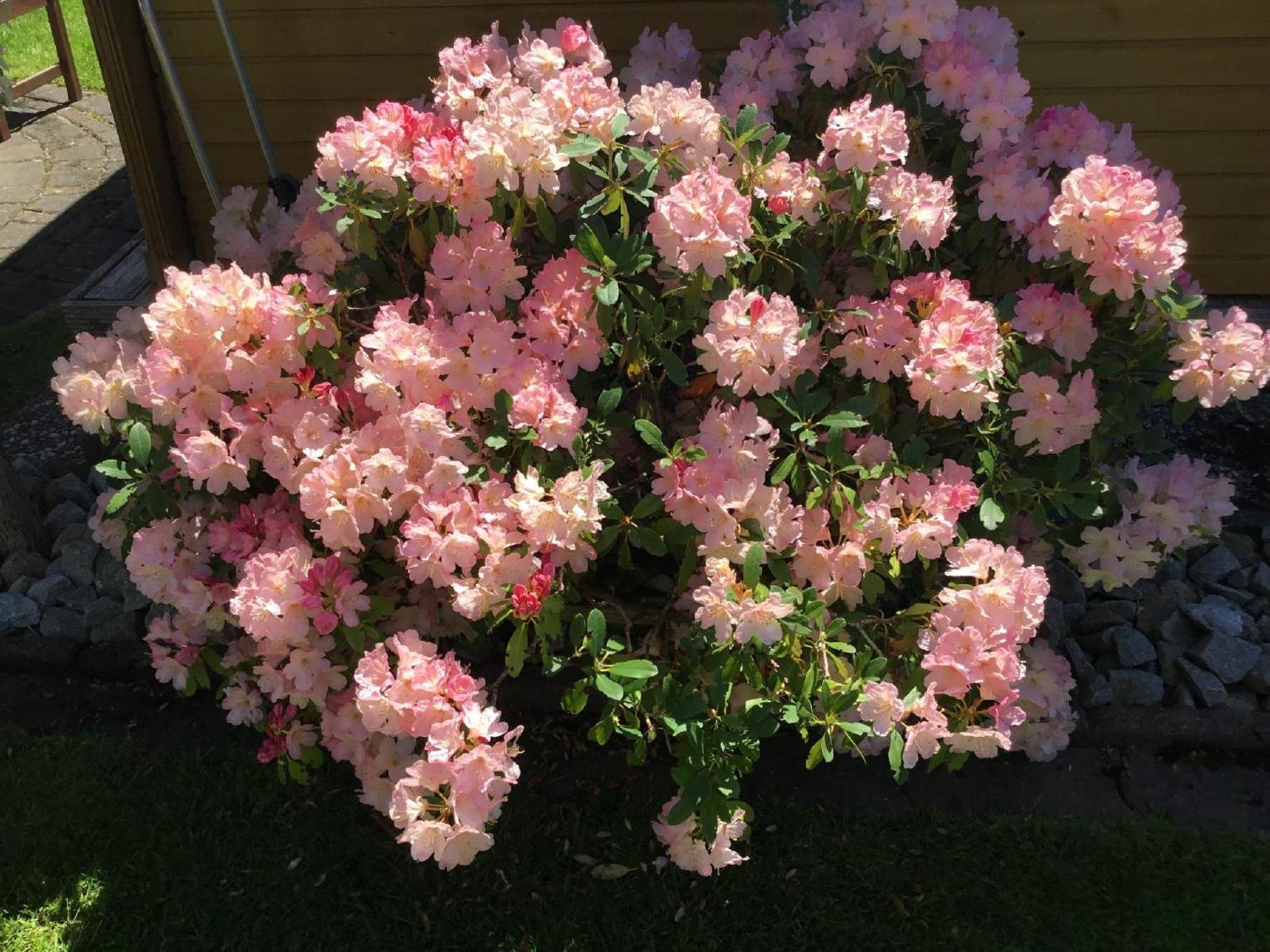 Photo 28