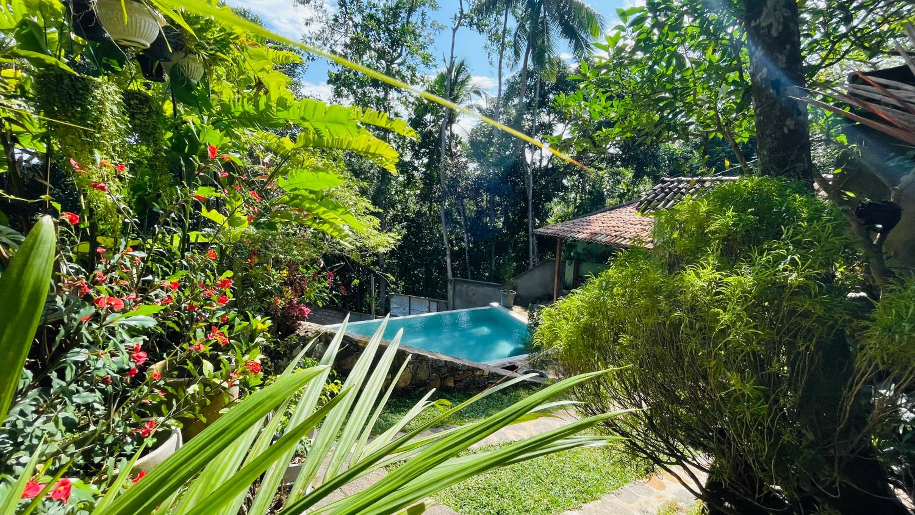 Bouganvilla House