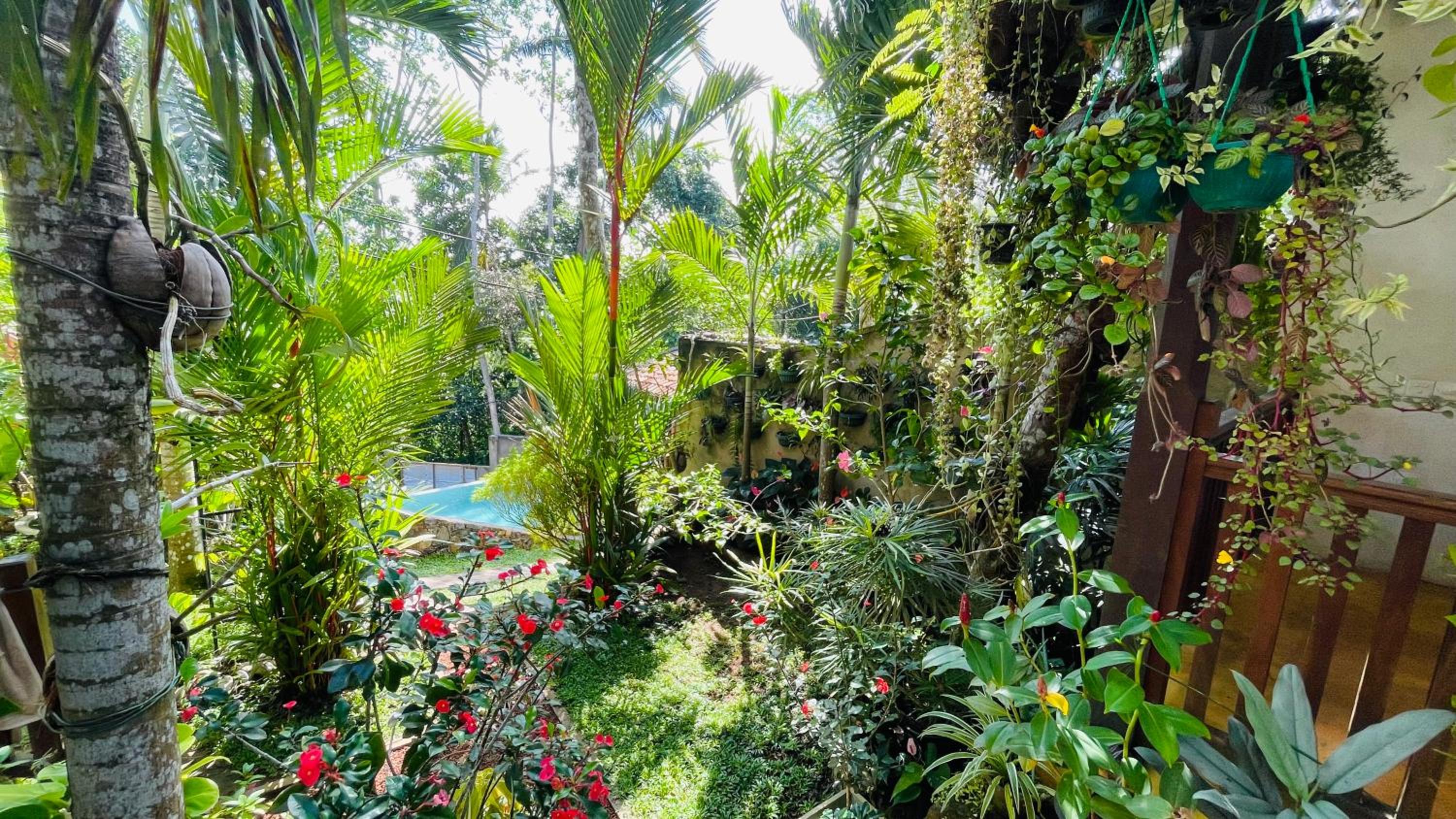 Bouganvilla House