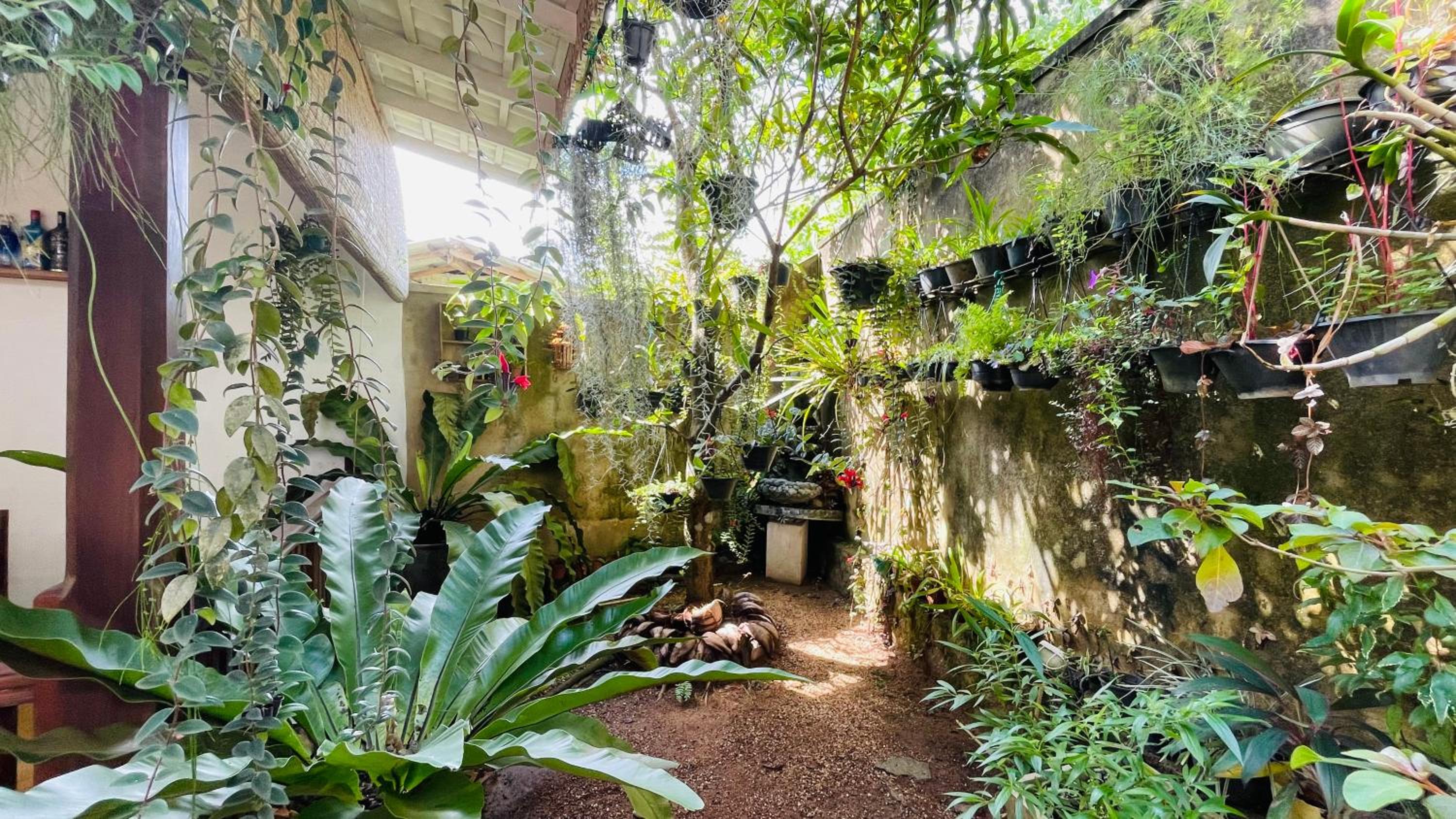 Bouganvilla House