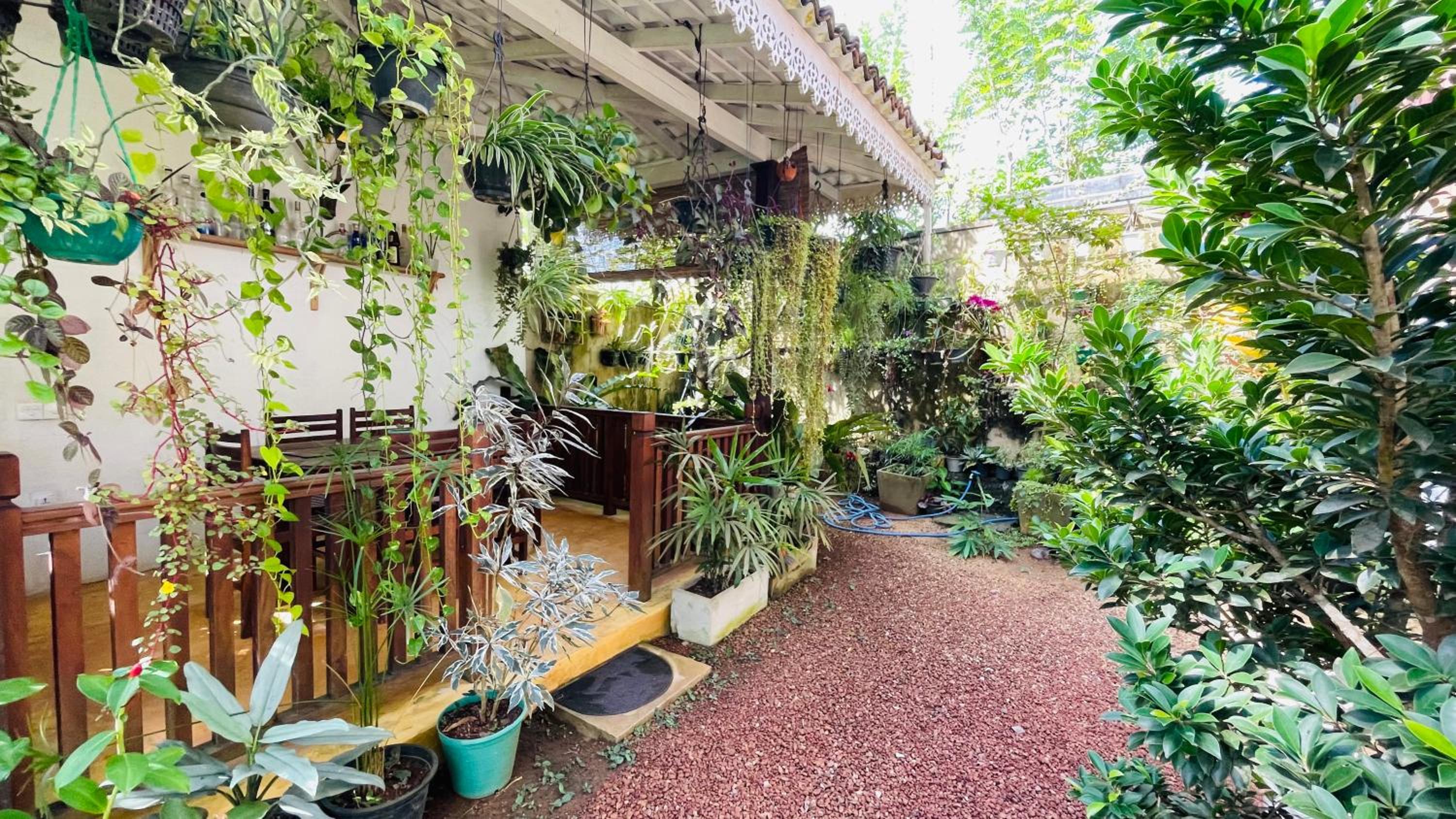 Bouganvilla House