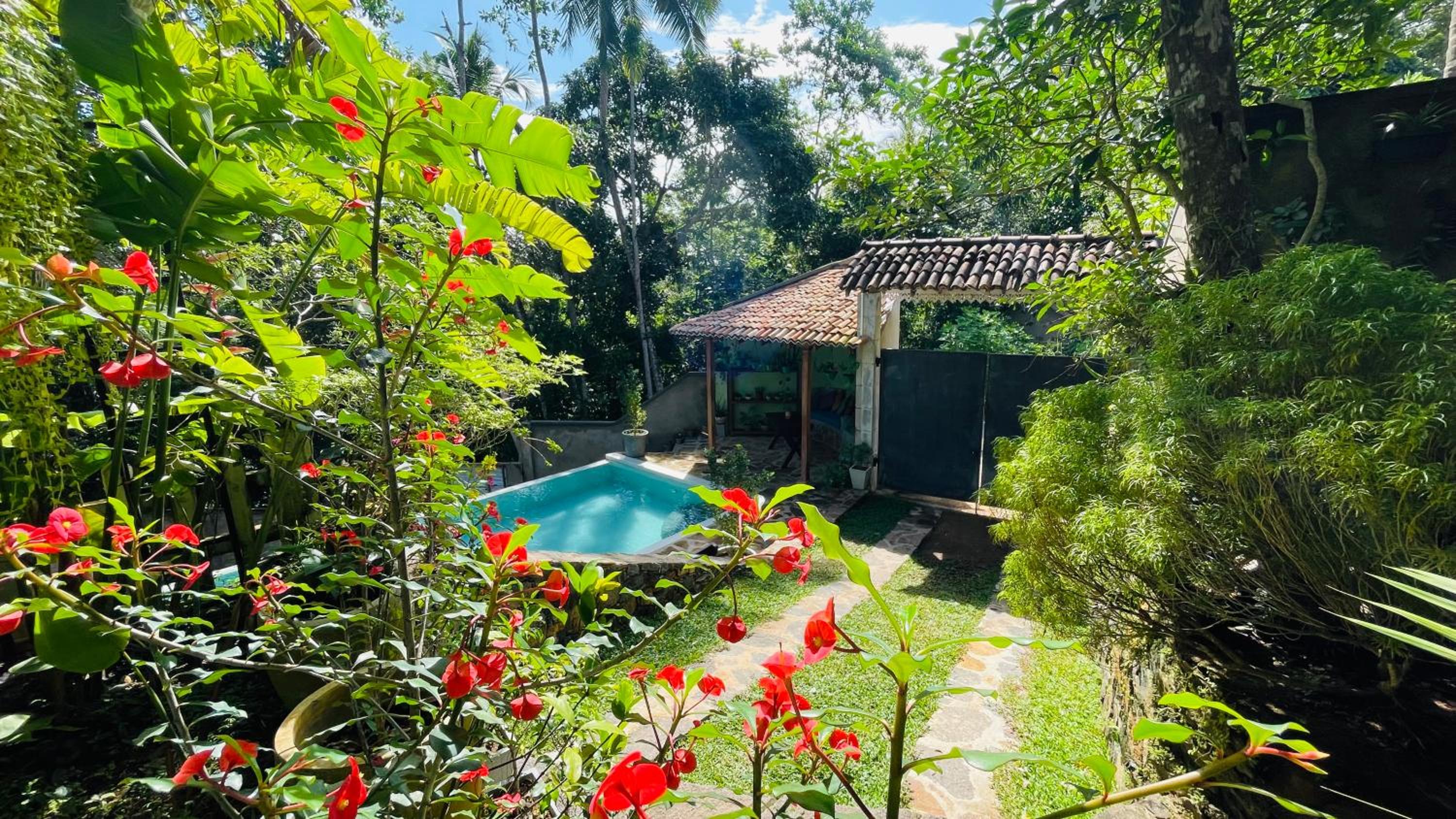 Bouganvilla House