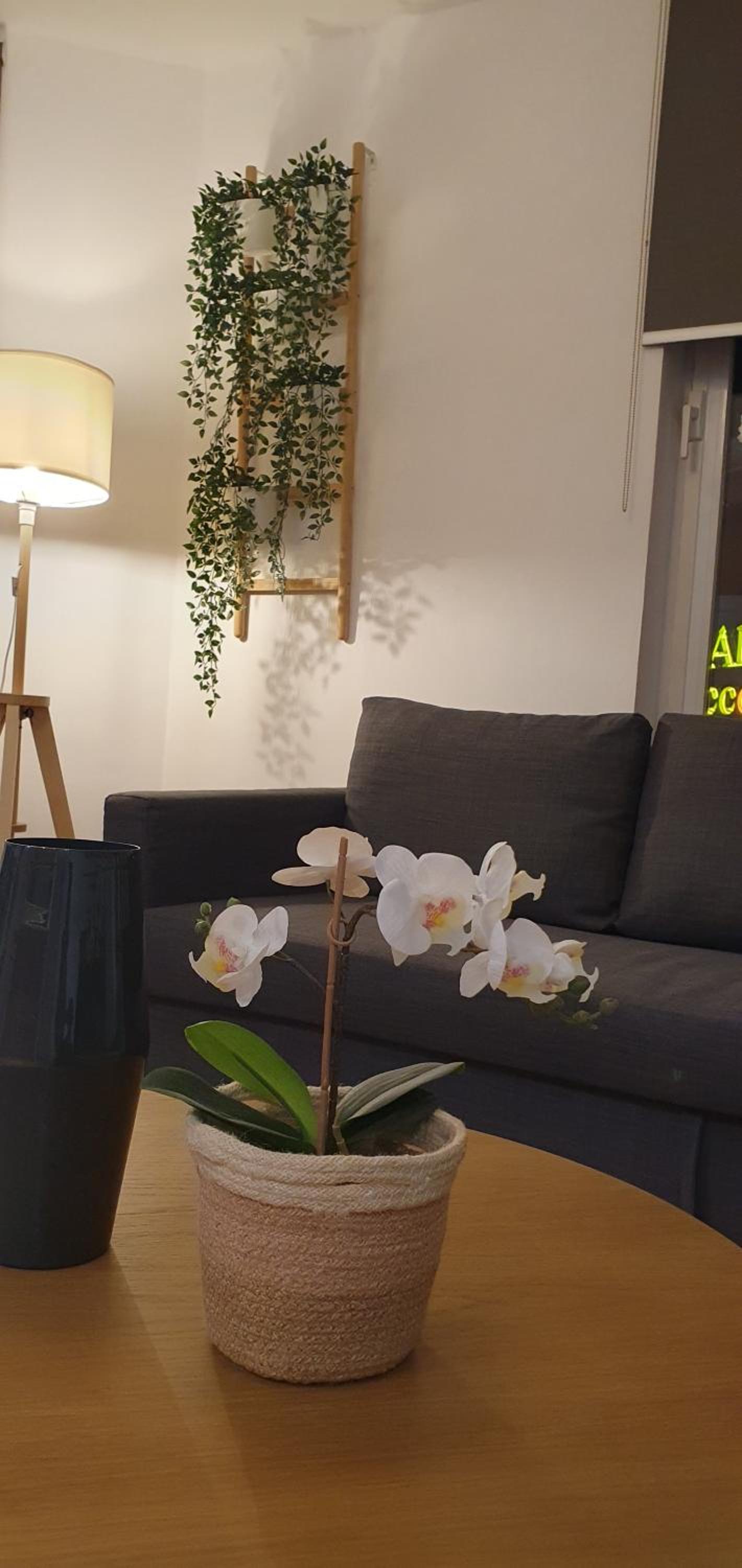 QUARTIER LOUISE STUDIOS
