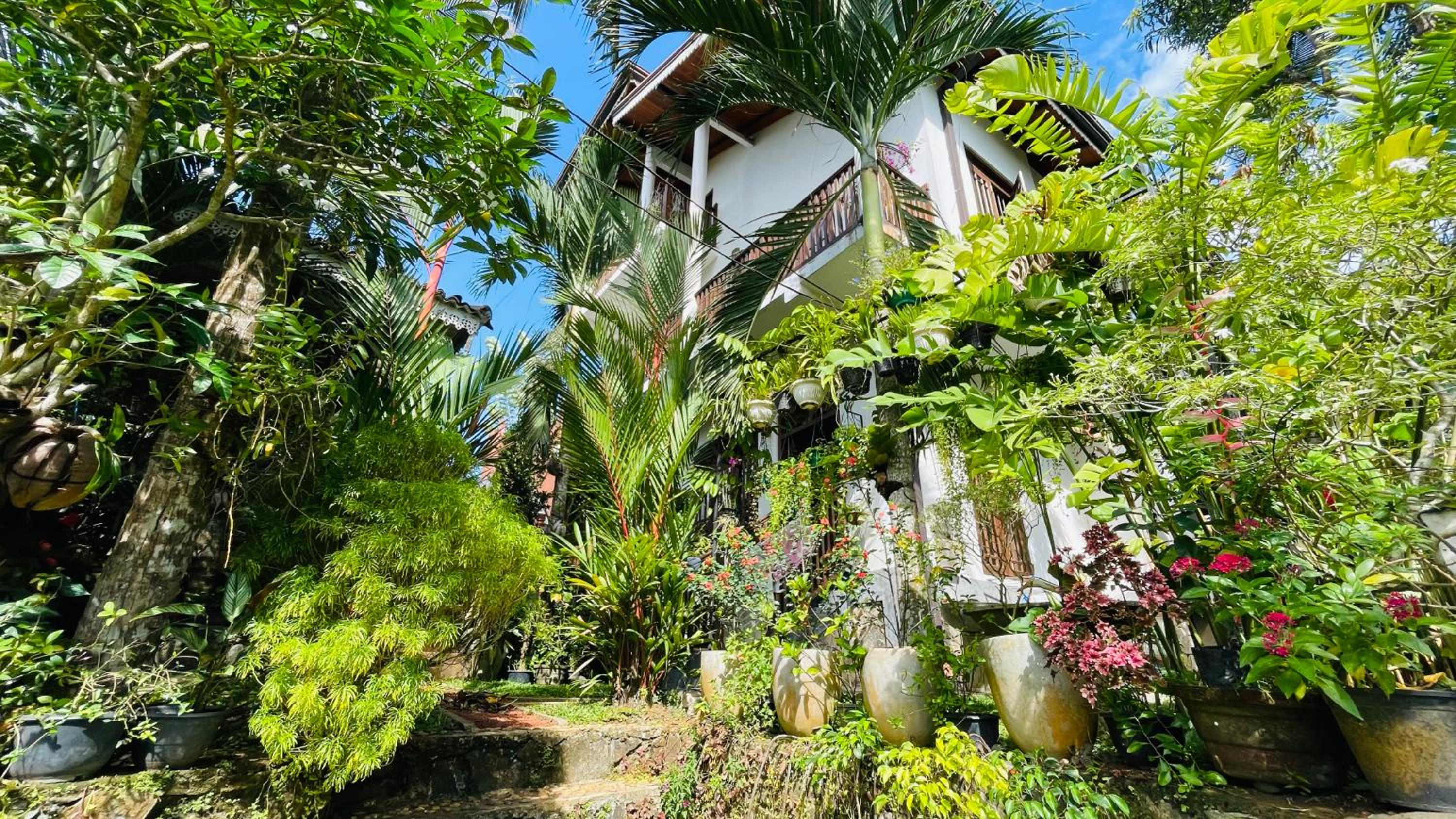 Bouganvilla House