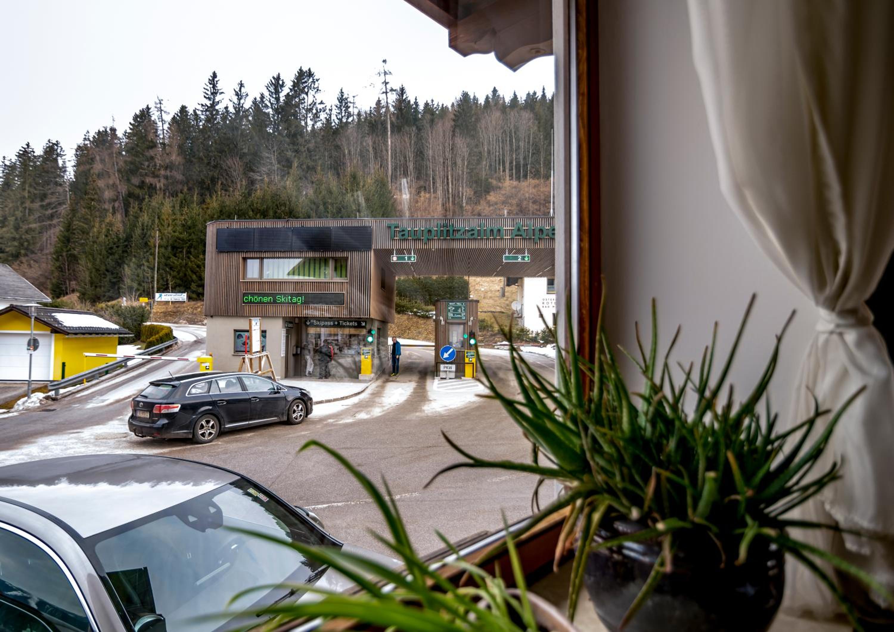 Mountain view apartments