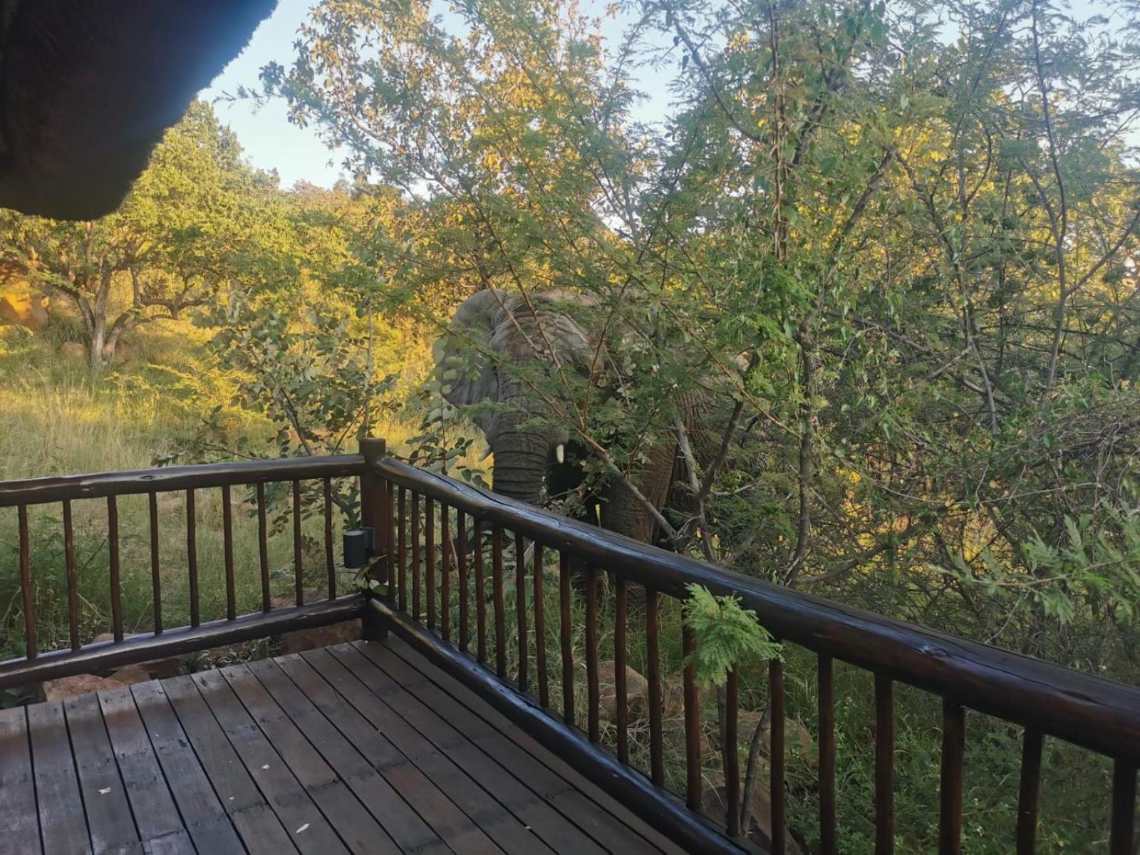 Mingwe Private Game Lodge view 3