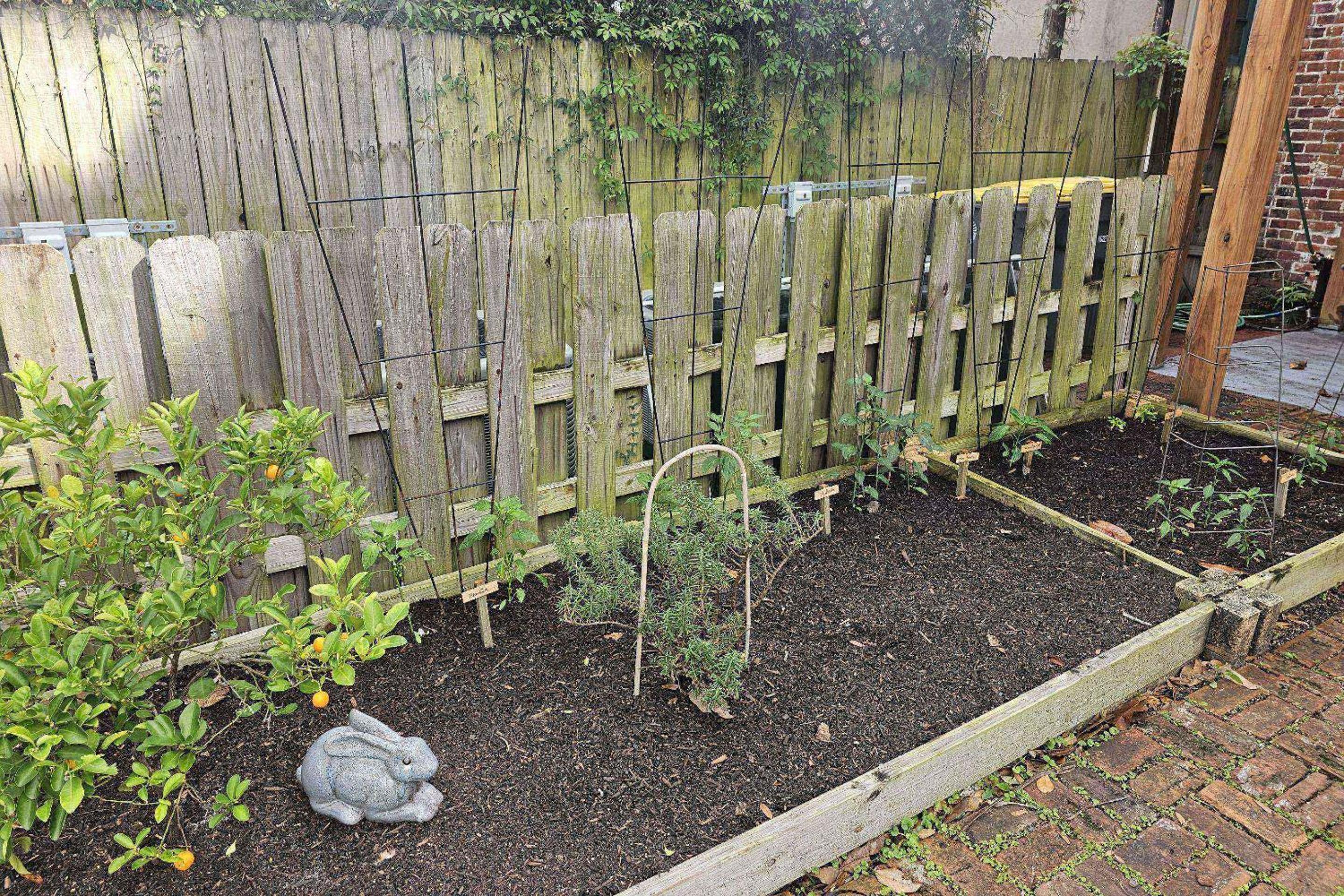 Photo 44
