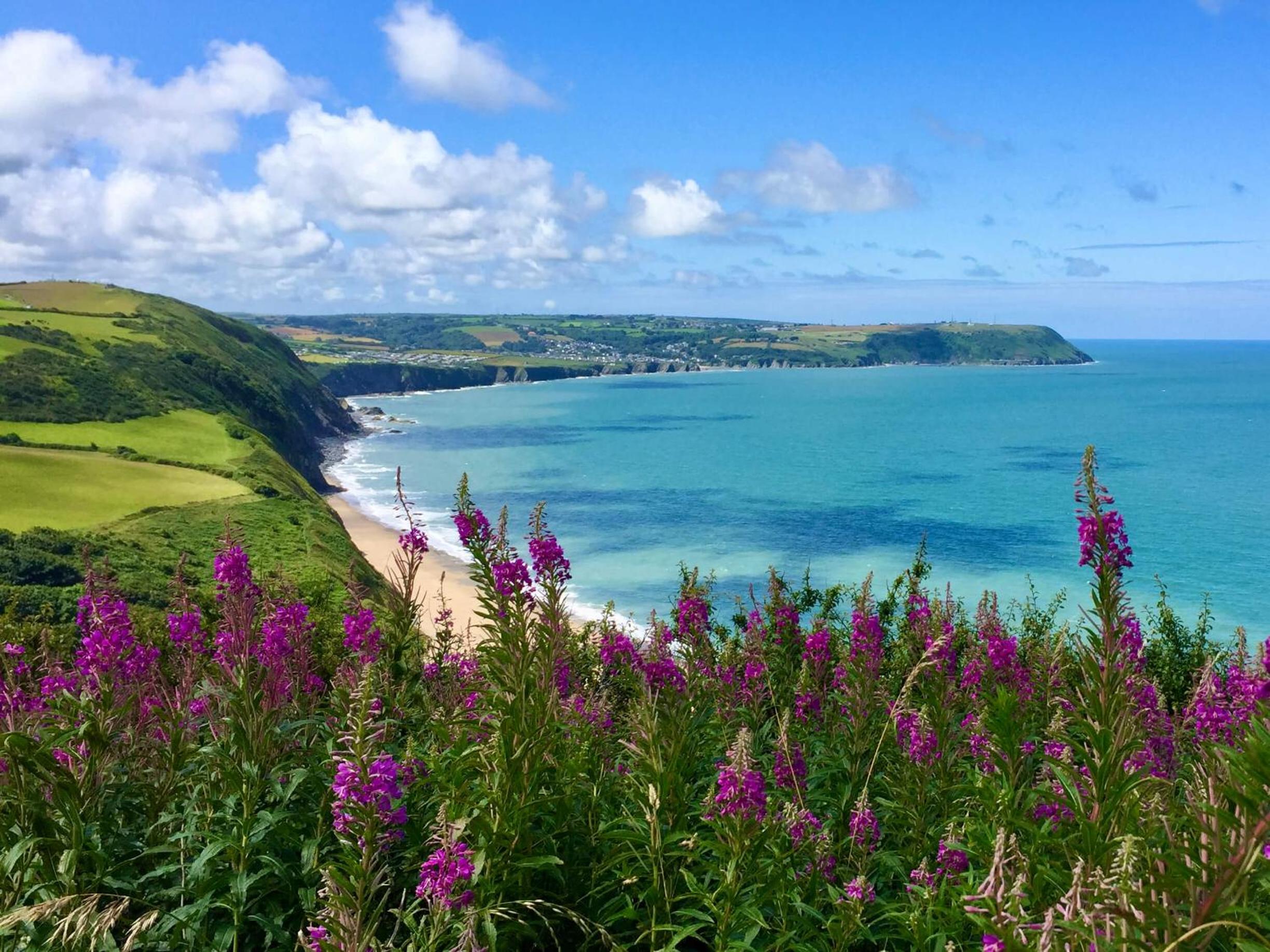 Coach House - 5 minutes from stunning beaches of Cardigan Bay view 2