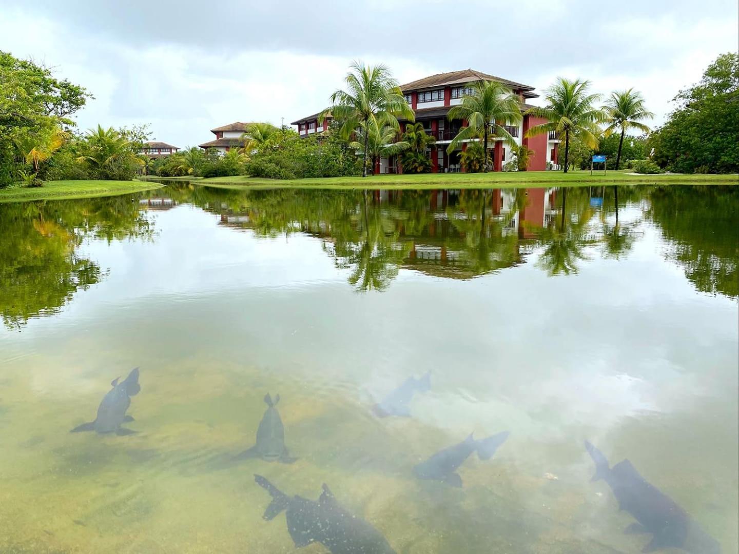 VILLAGE DAS ACÁCIAS NO PISCINAS NATURAIS