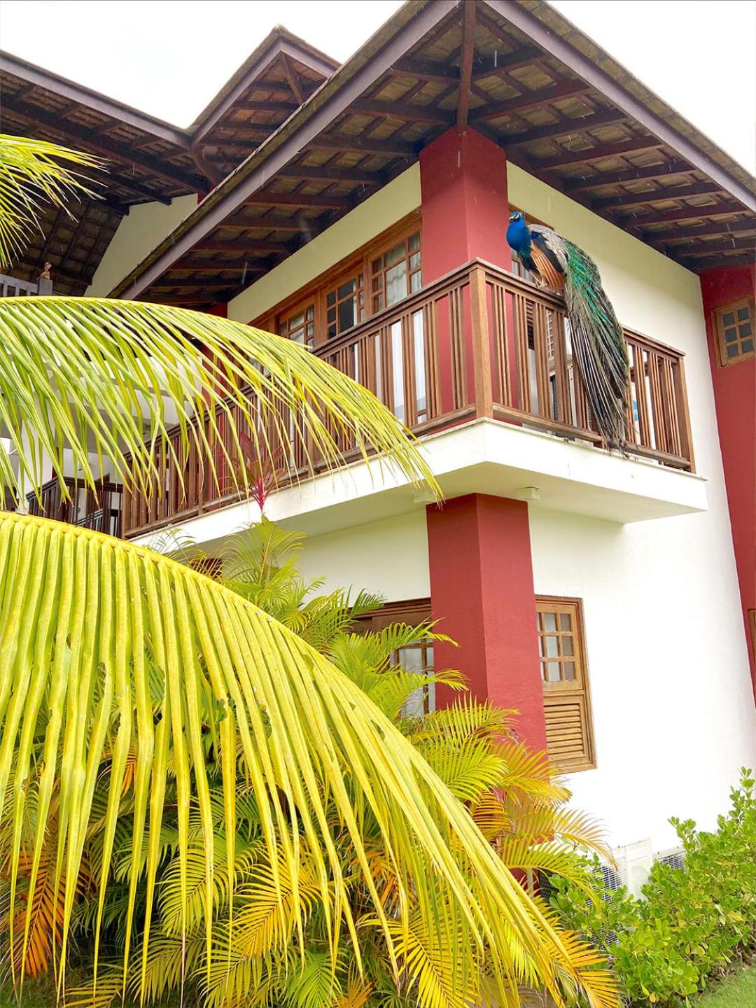 VILLAGE DAS ACÁCIAS NO PISCINAS NATURAIS