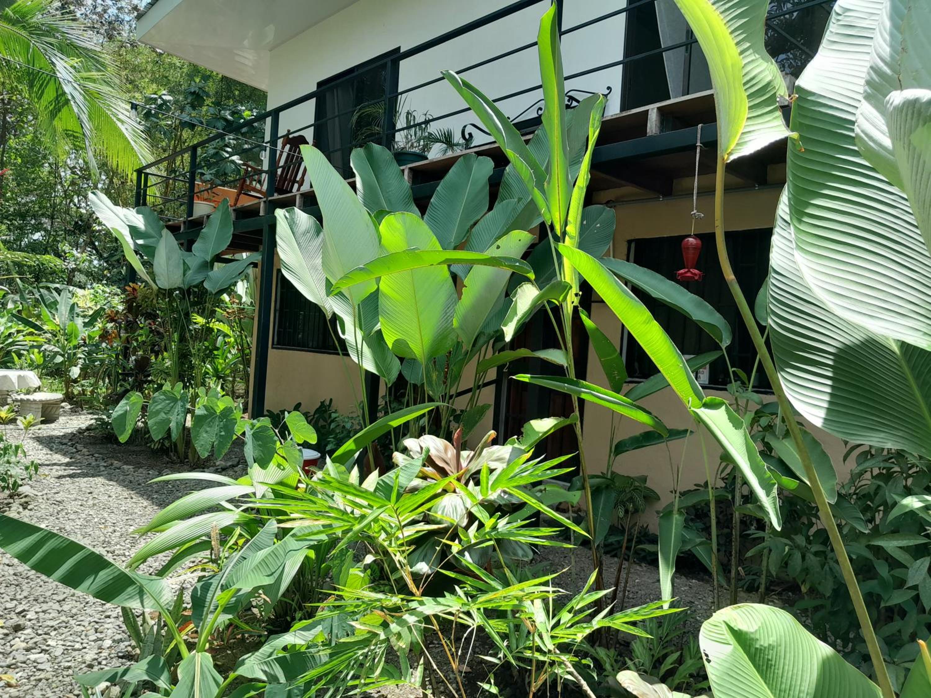 Miah house