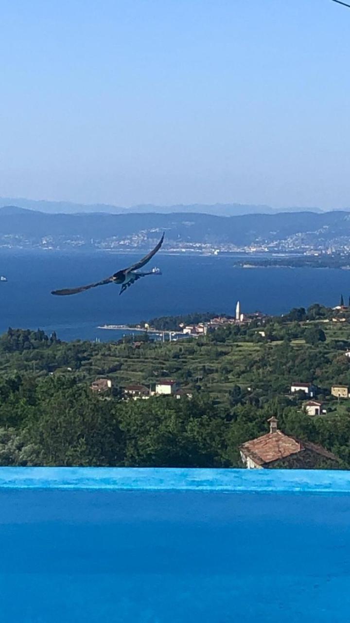 Apartmaji Meli Pu view 3